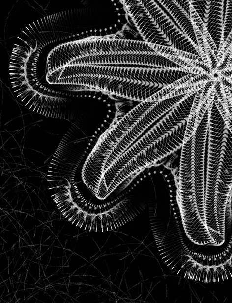 2025-10-07 23.26.58-1.jpg