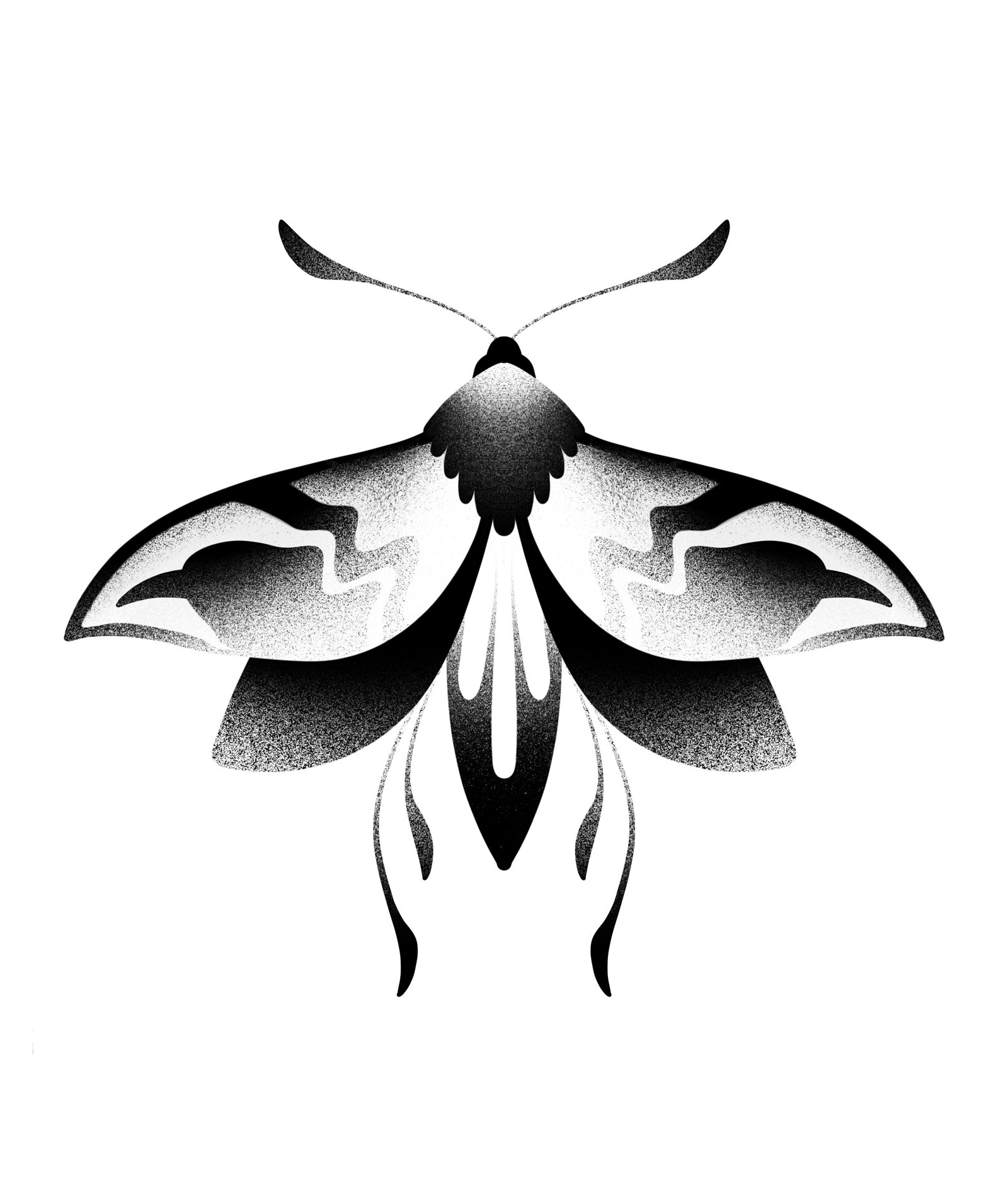 Black and white illustration of a butterfly viewed from the front, showing patterns on its wings and body. Stippling whip shading dotwork blackwork tattoo design flash.