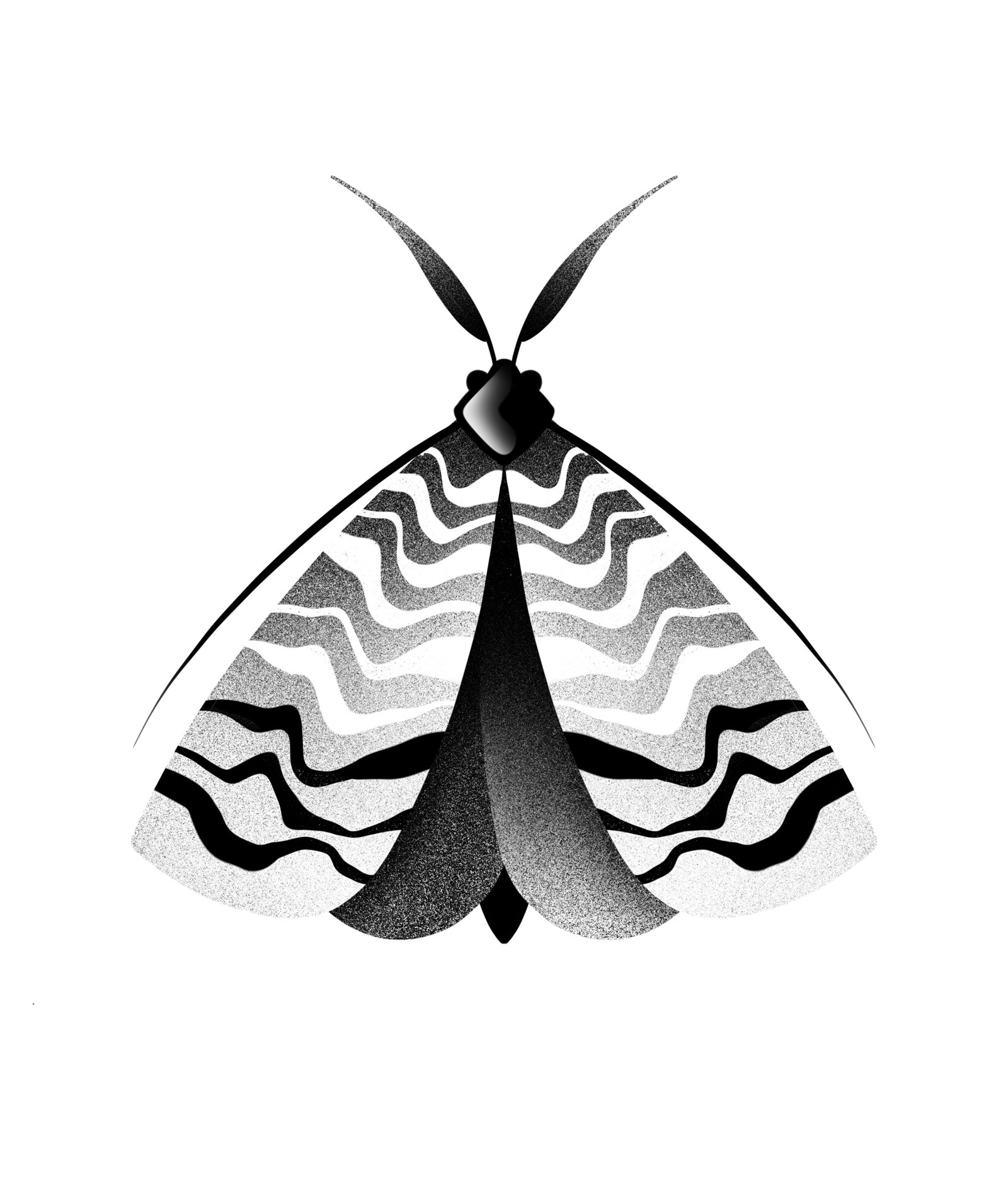 Black and white illustration of a butterfly with intricate, wavy patterns on its wings, viewed from above. Stippling whip shading dotwork blackwork tattoo design flash.