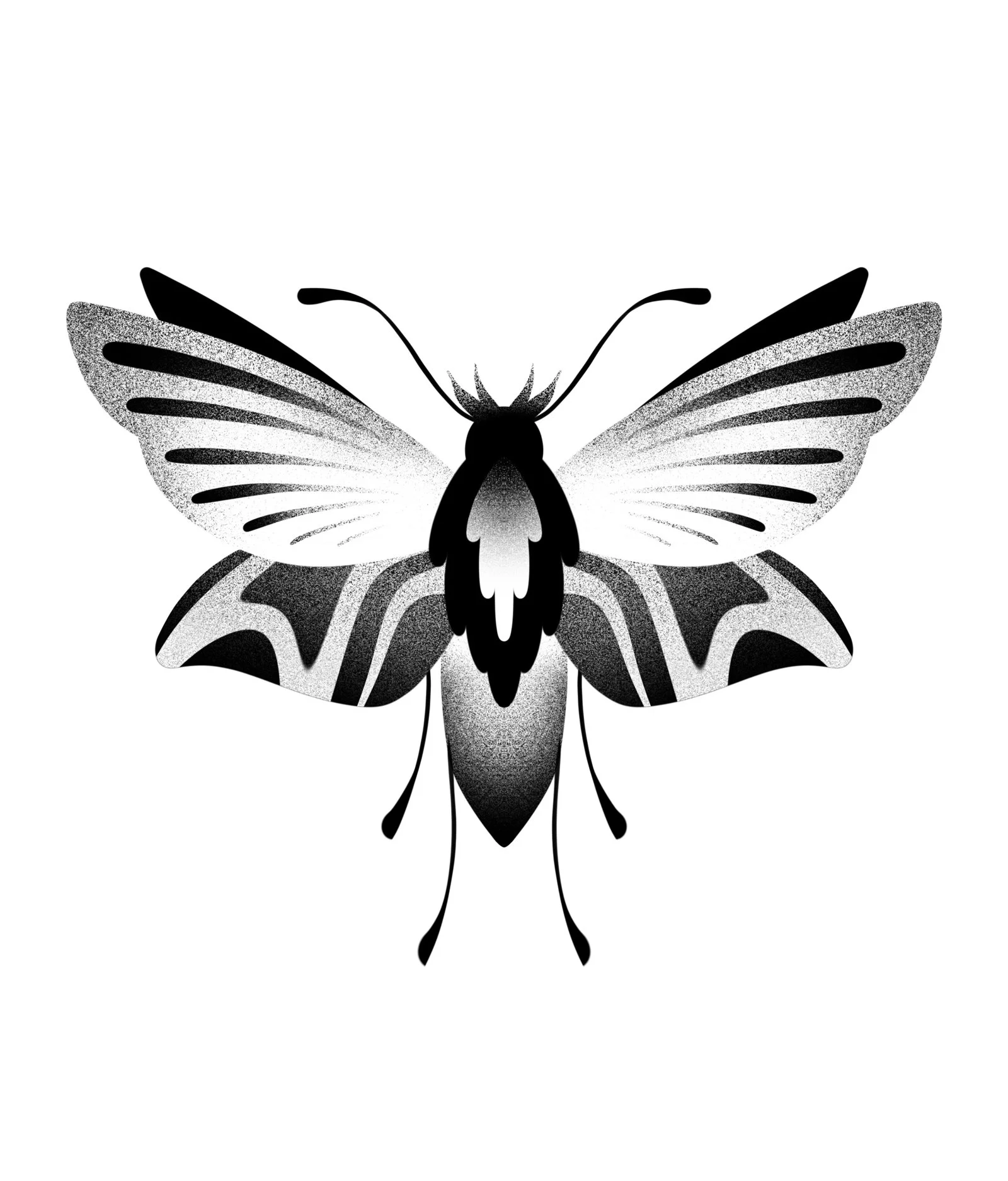 Black and white illustration of a butterfly with detailed wings and elongated body.