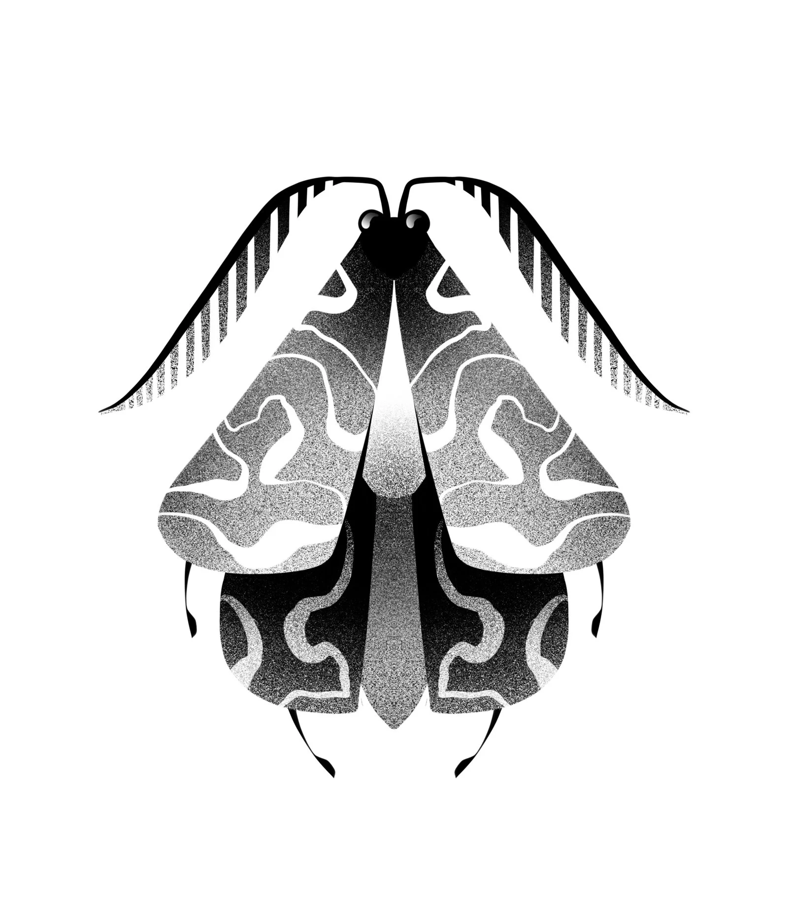 Black and white illustration of a butterfly with symmetrical wings featuring intricate patterns. Stippling whip shading dotwork blackwork tattoo design flash. קעקועים תל אביב שחור לבן אפור סטיפלינג דוטוורק