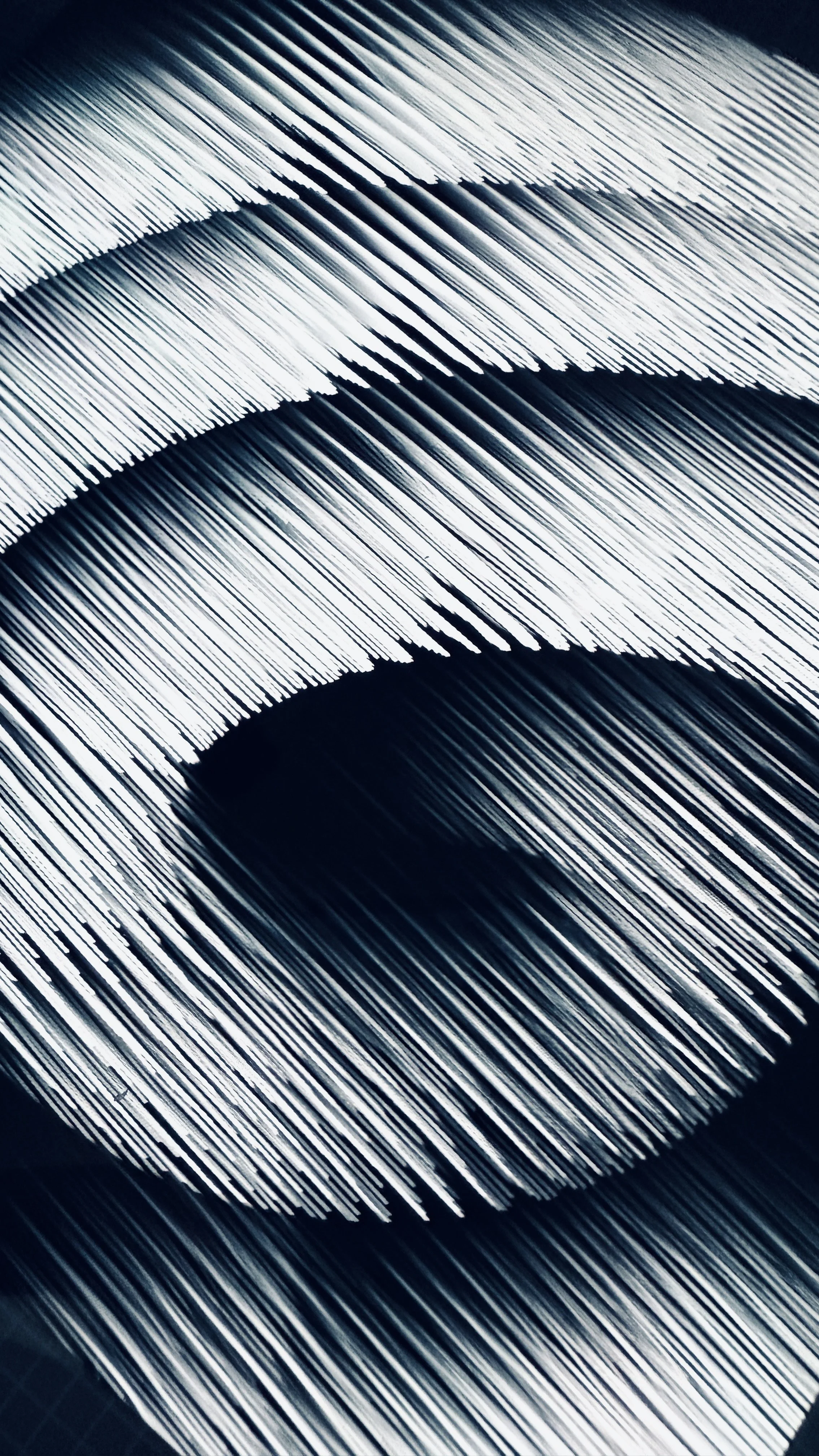 2025-06-19 17.12.10.jpg