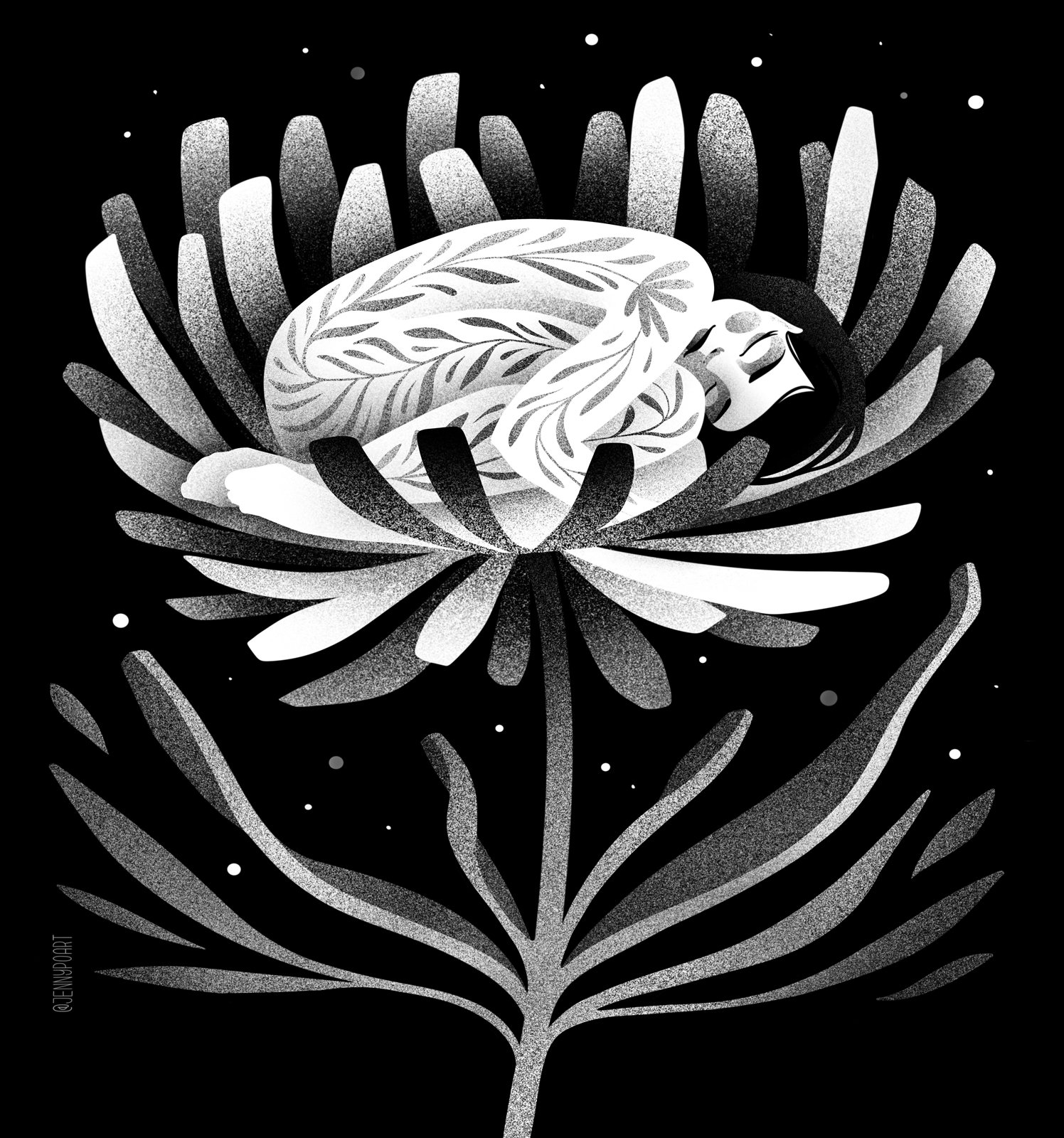 Daisy_Dreams5.jpg