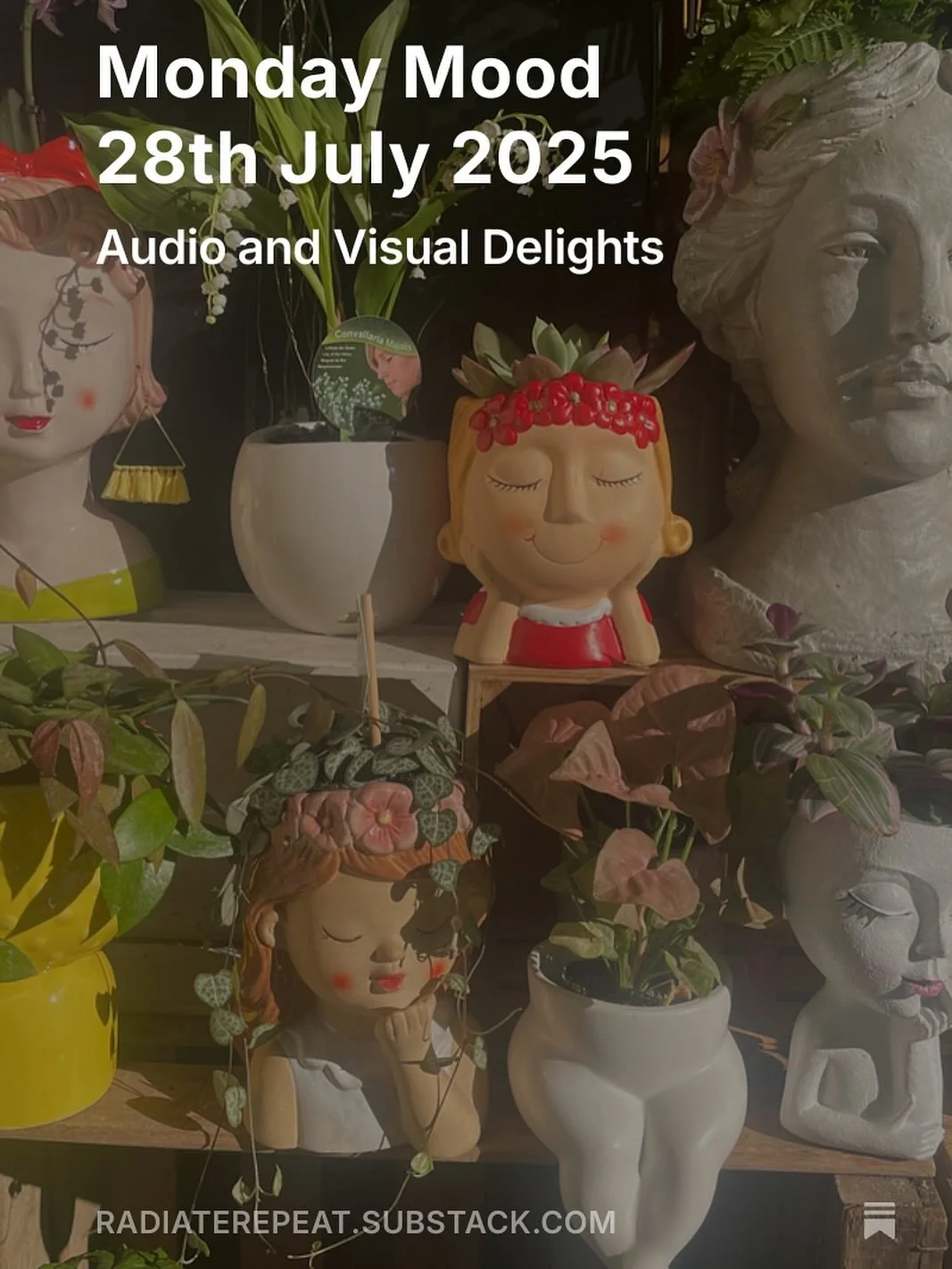Audio and visual delights 😍