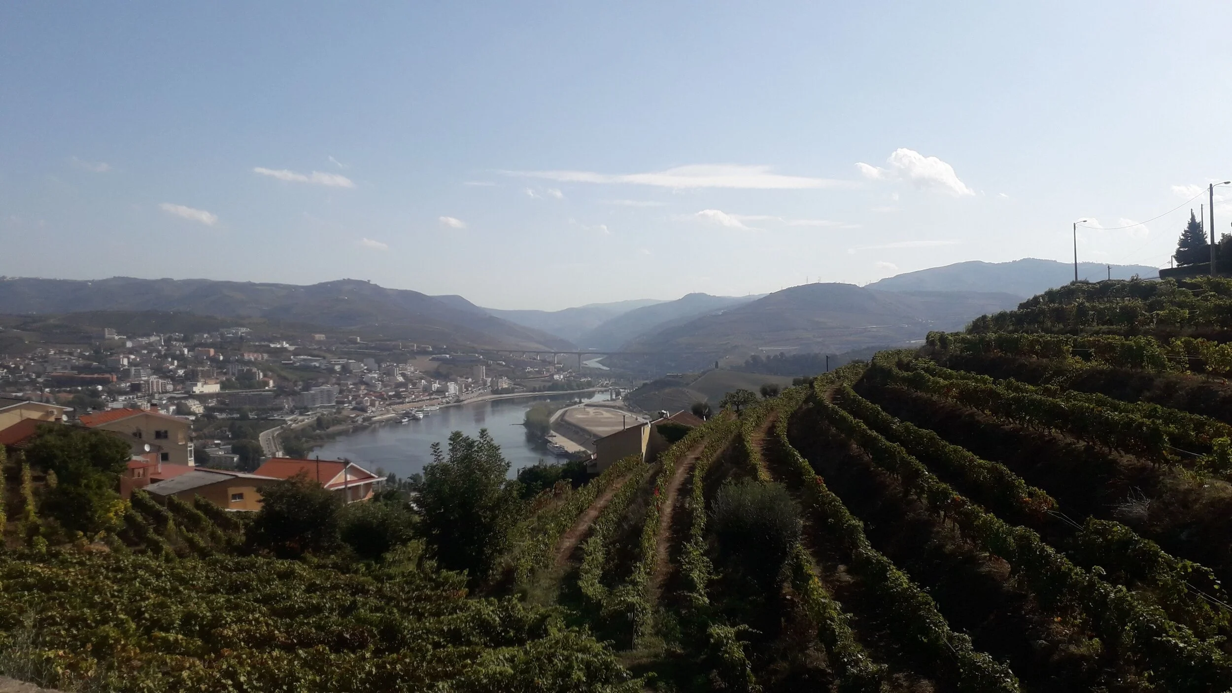 Douro Valley