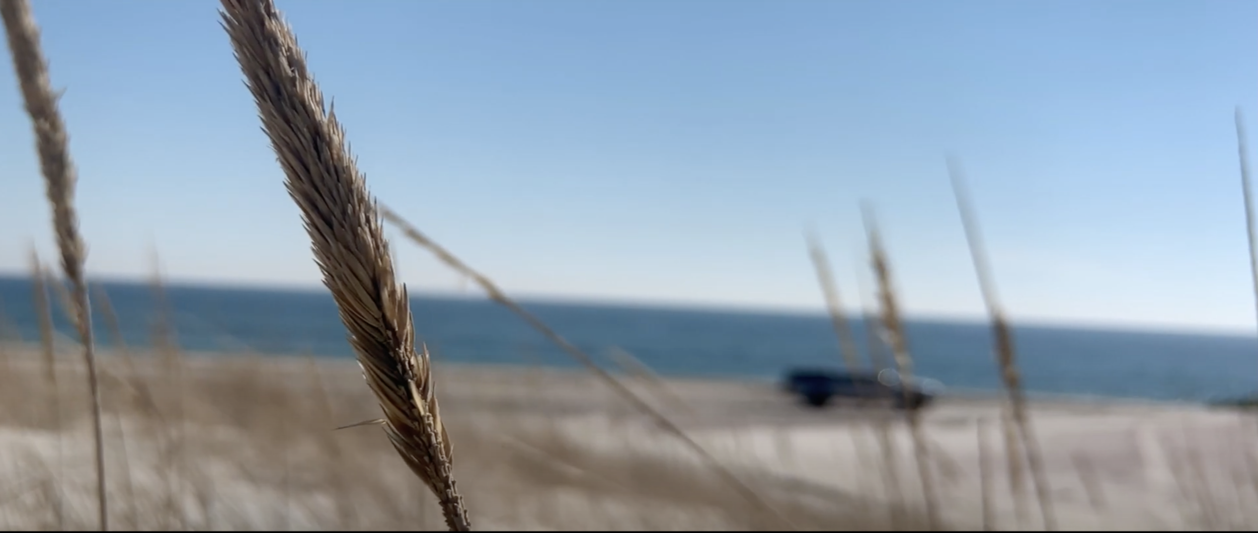 Screen Shot 2020-11-29 at 6.34.02 PM.png