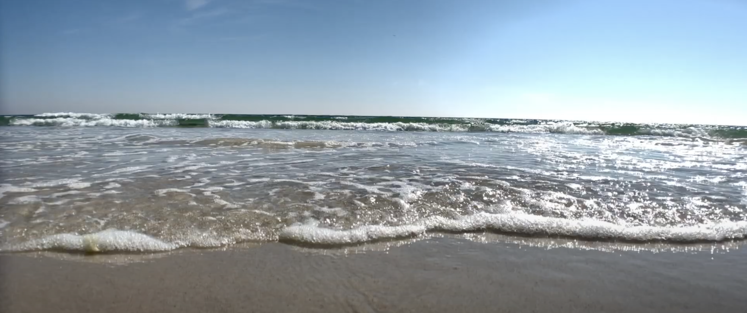 Screen Shot 2020-11-29 at 6.33.38 PM.png