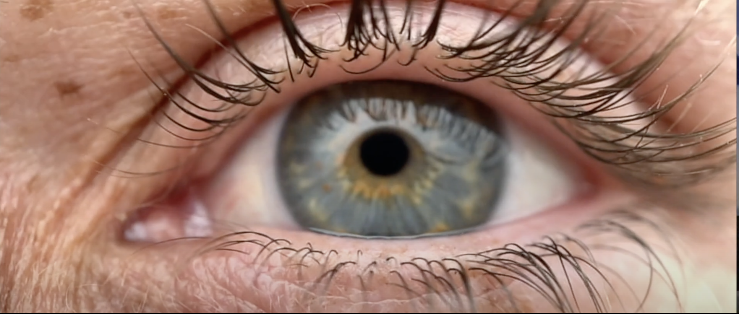 Screen Shot 2020-11-29 at 6.31.53 PM.png