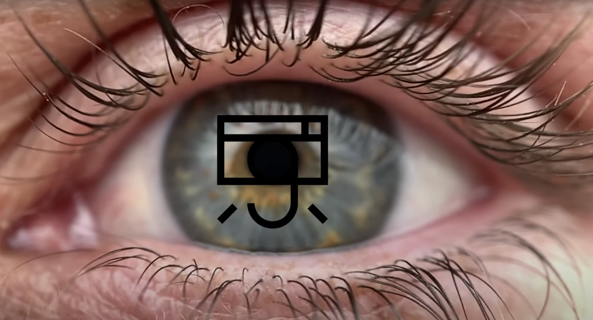 Screen Shot 2020-12-01 at 3.03.18 PM.png