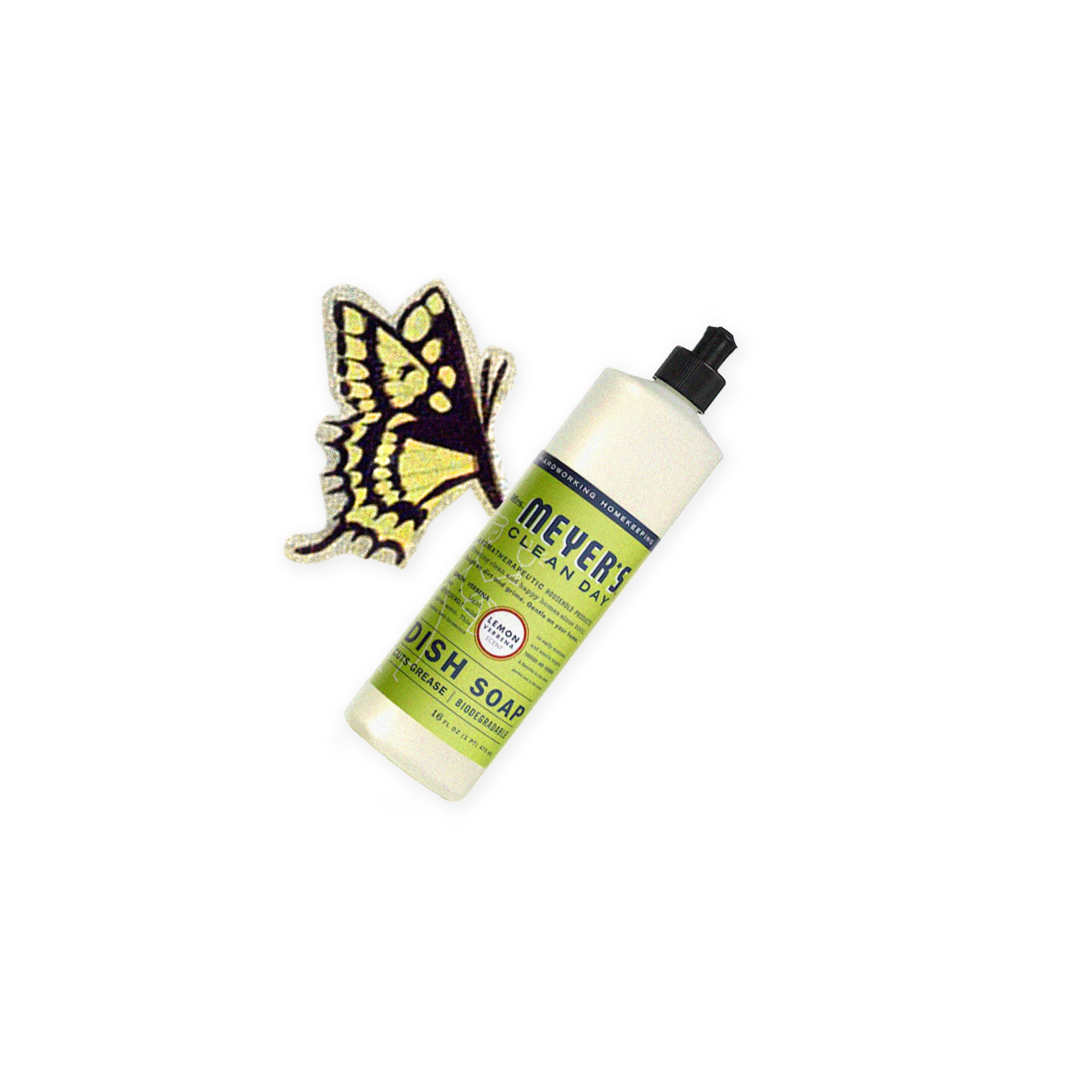 cutout 2.png