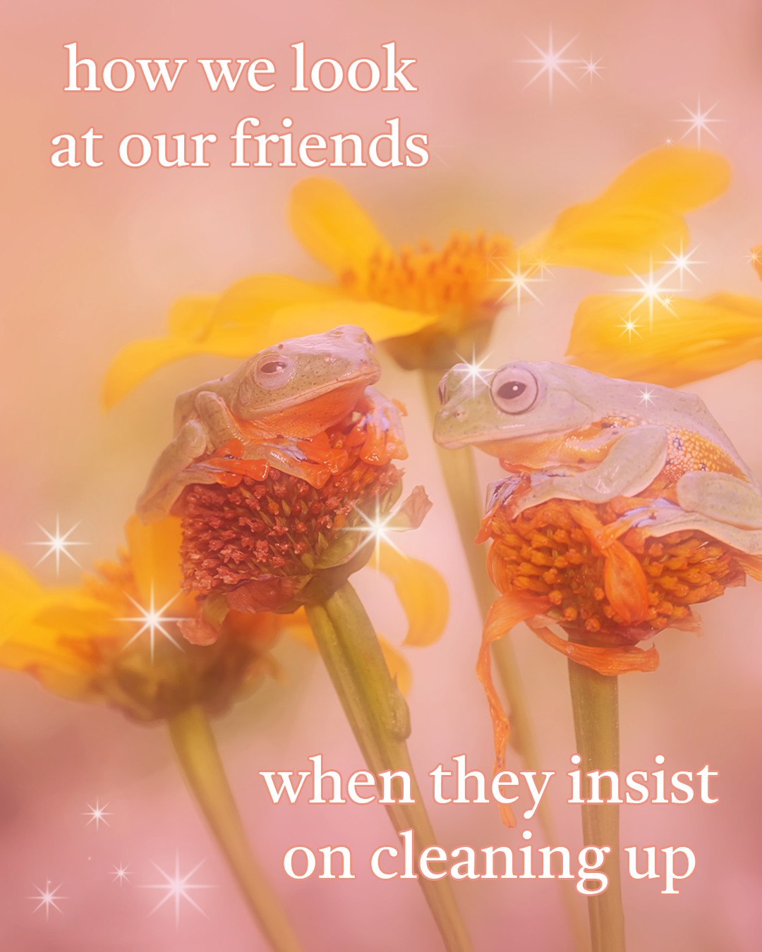 whimsy meme 1 (2).png