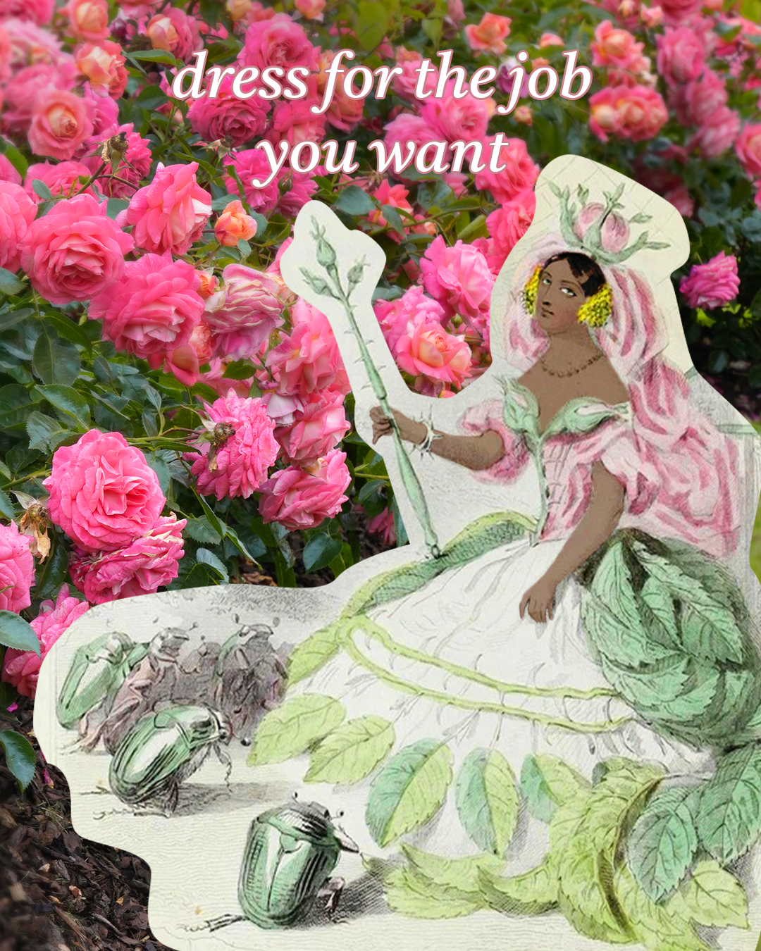dress rose.png