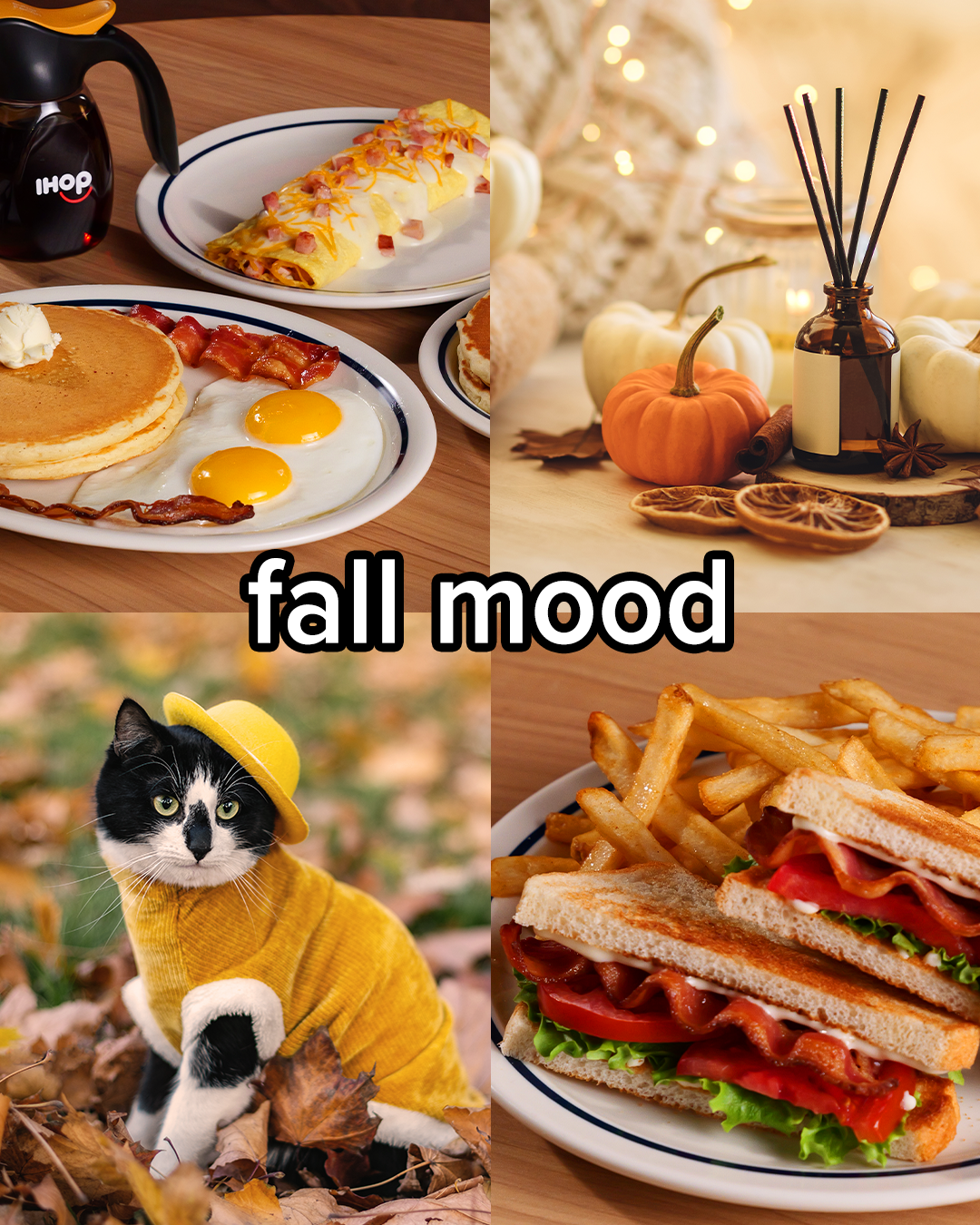 IHOP in the Fall_4x5.png