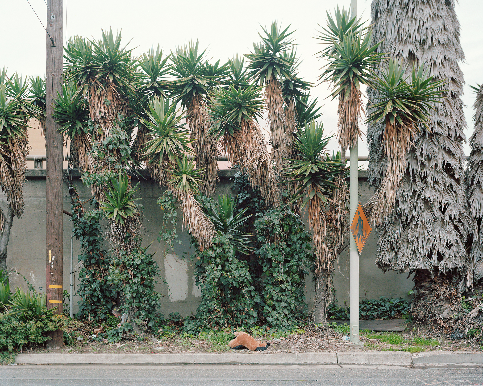 By the Home Depot, I-880, Oakland, CA 