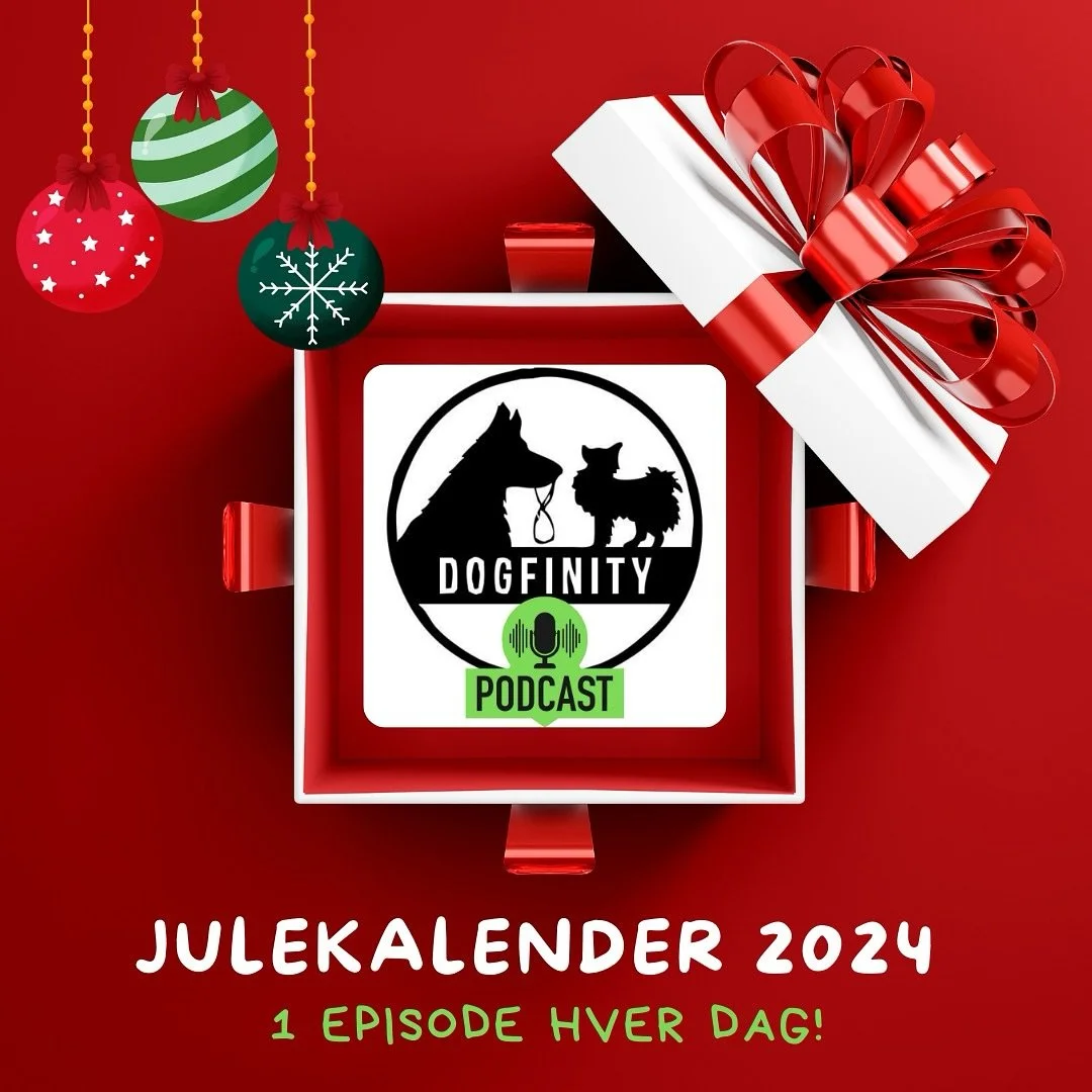 🎙️ &Aring;rets julekalender fra meg til deg 😍🎄

1. desember = Episode 1 ✨ 🎧 Spotify / Acast 👉 Dogfinity Podcast

🫵 You&rsquo;re wish is my demand 👩🏻🪄 N&aring; har s&aring;pass mange av dere etterspurt et format hvor jeg prater om hundetrenin