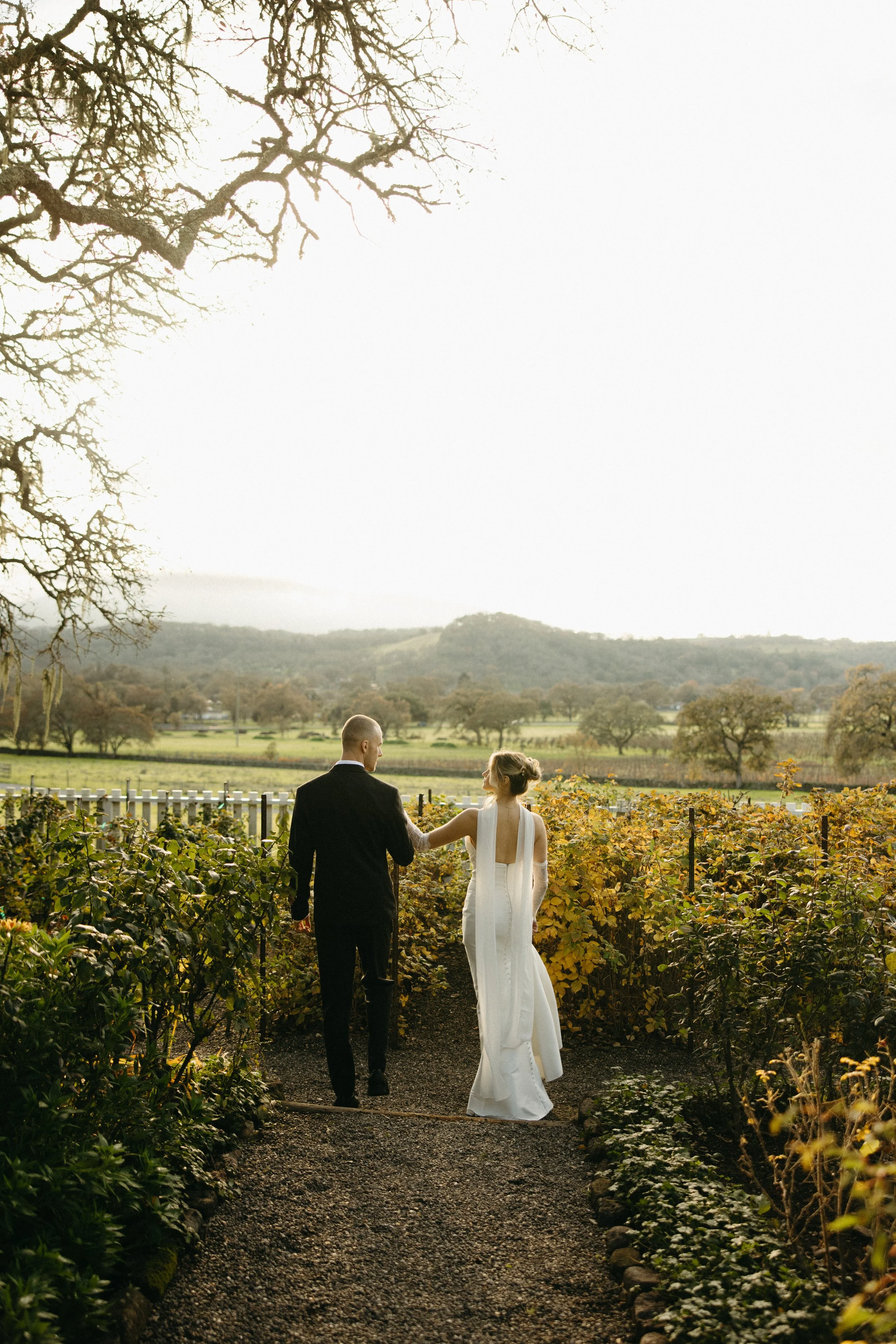 Napa Wedding Photography