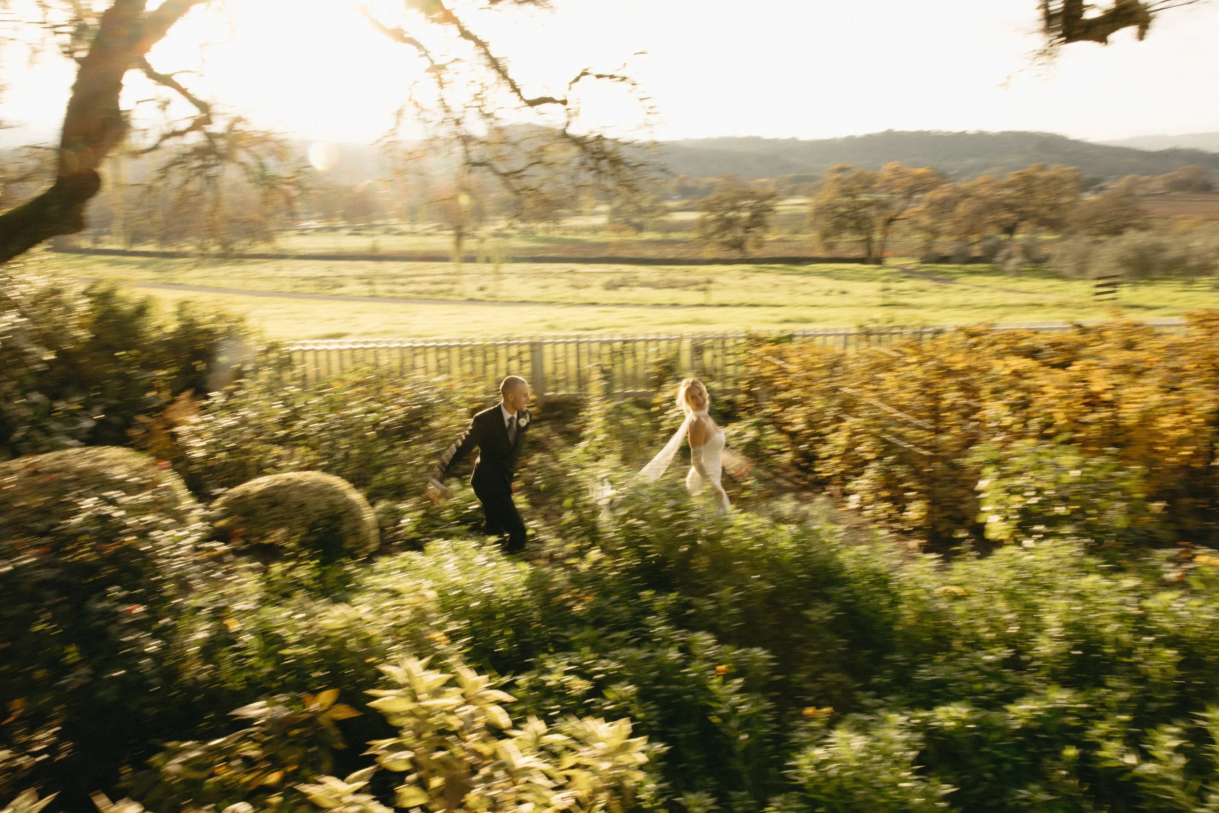 Napa Wedding Photographer-35.jpg