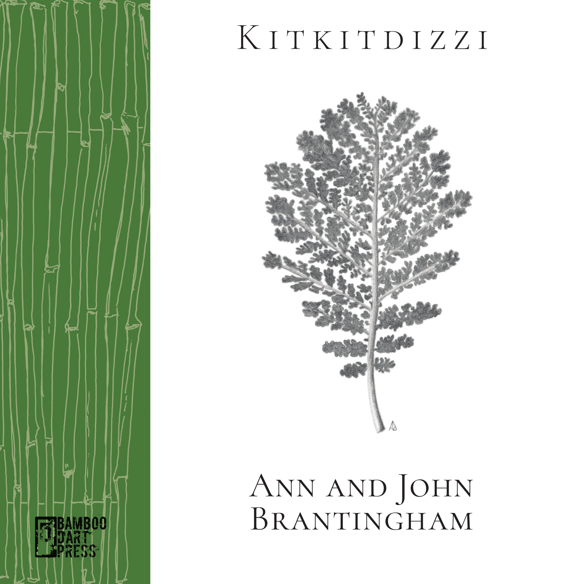 john_and_ann_brantingham-kitkitdizzi-front_cover.png