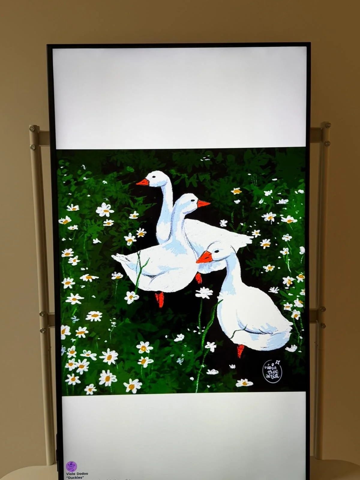 WhatsApp Image 2026-02-16 at 1.05.52 PM (7).jpeg