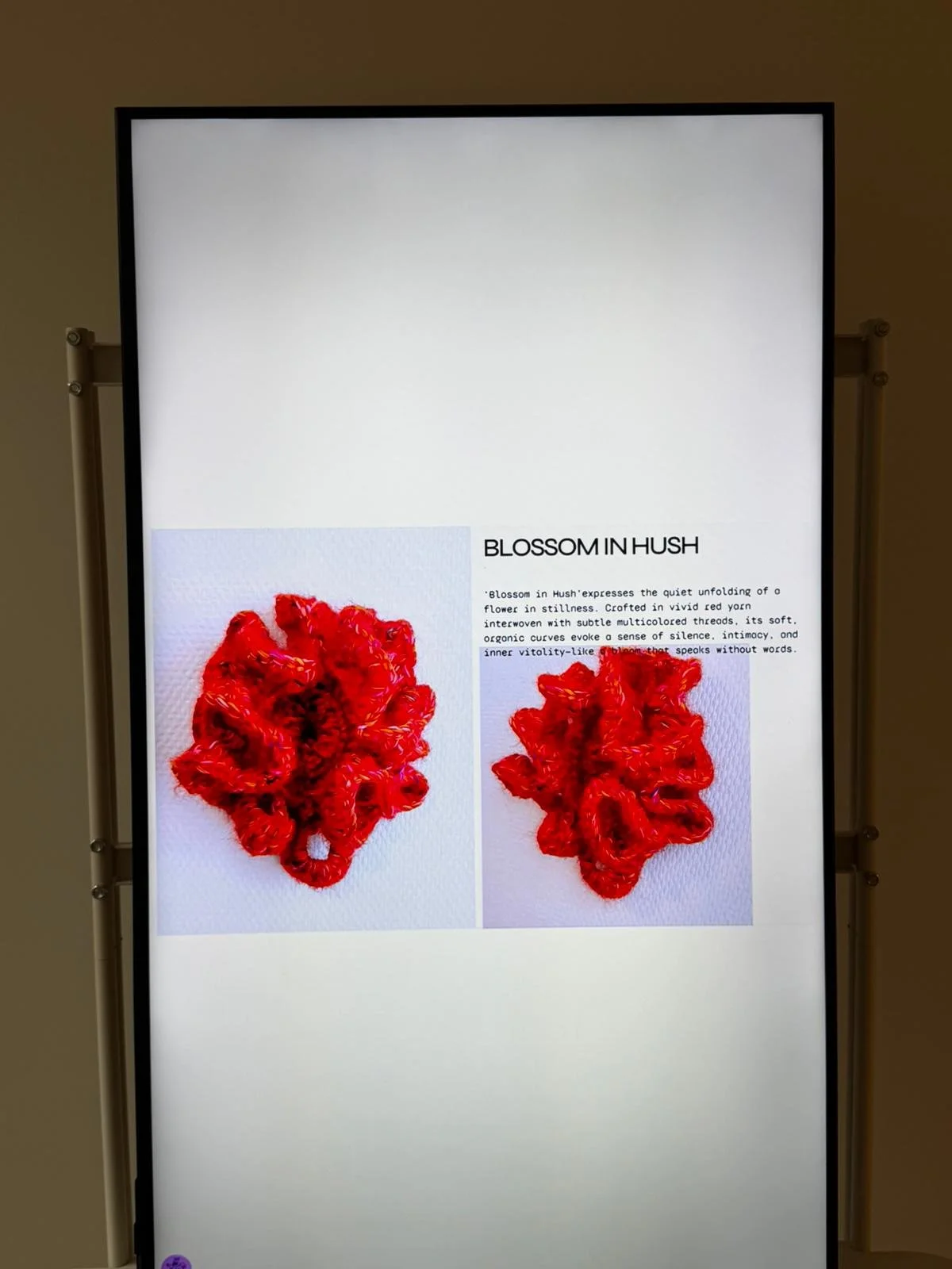 WhatsApp Image 2026-02-16 at 1.05.54 PM (2).jpeg