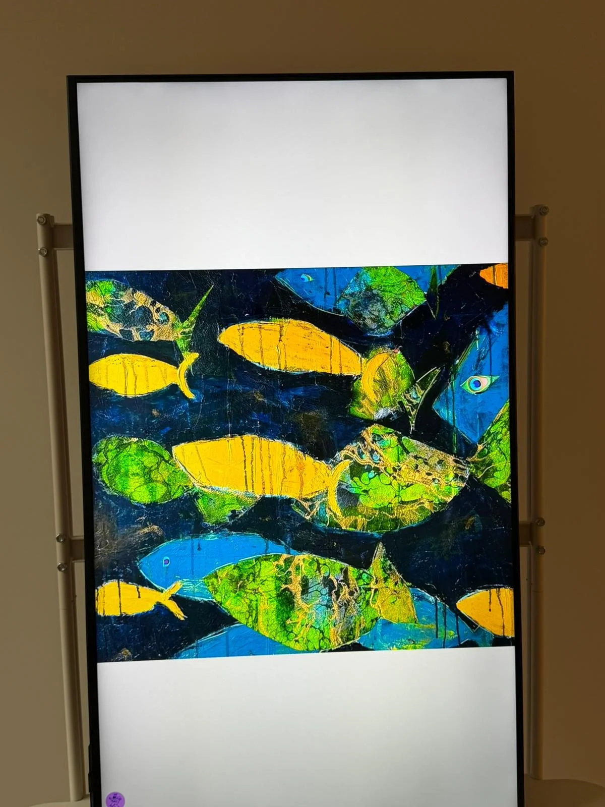 WhatsApp Image 2026-02-16 at 1.05.55 PM (1).jpeg