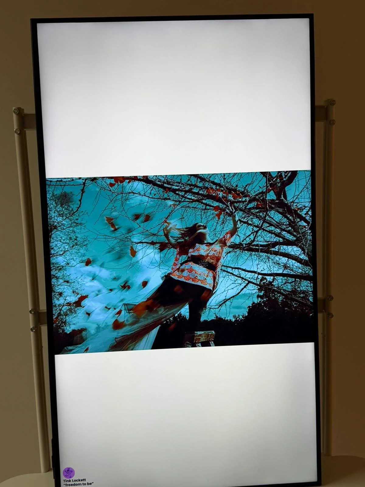 WhatsApp Image 2026-02-16 at 1.05.57 PM.jpeg