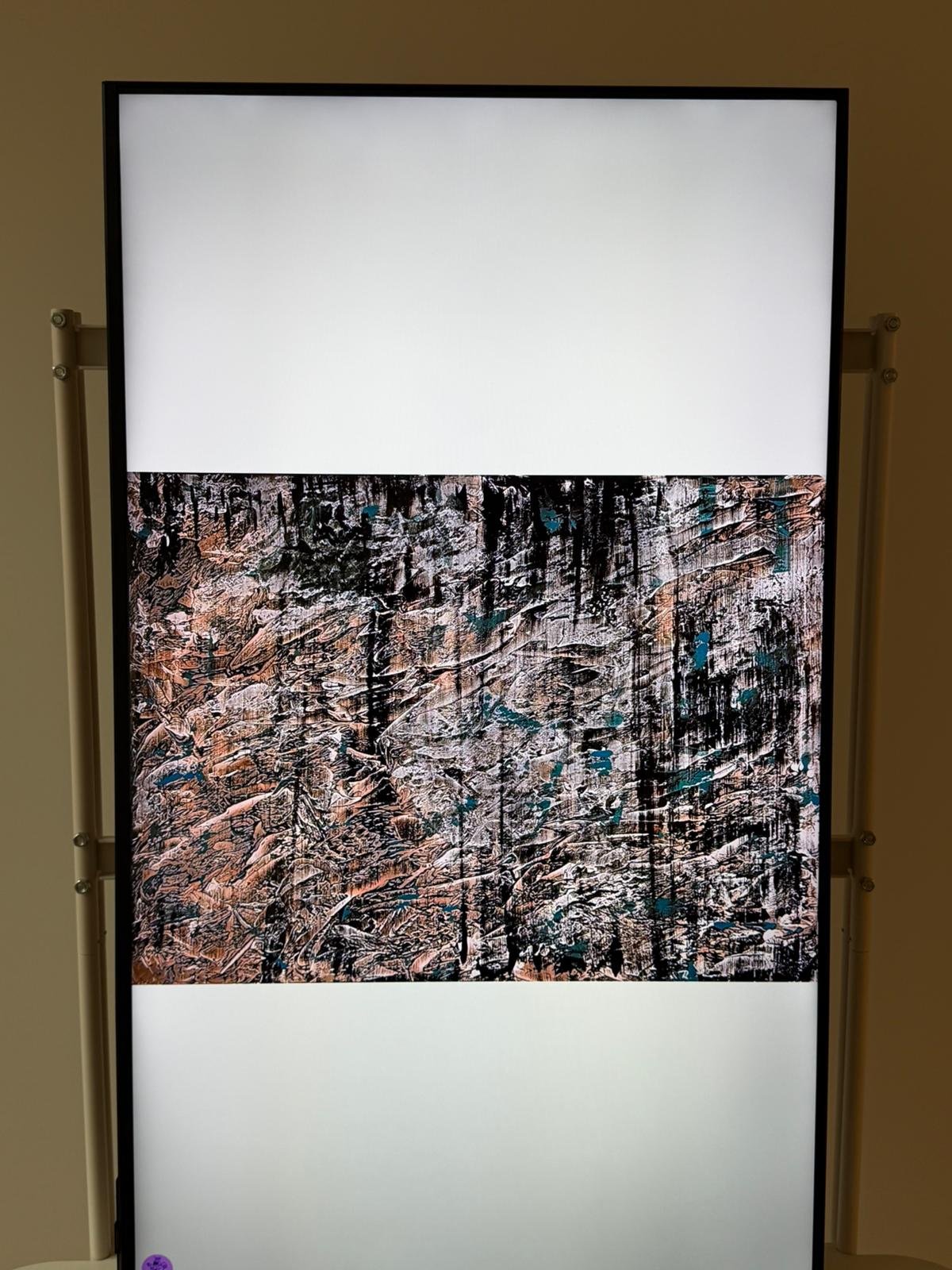 WhatsApp Image 2026-02-16 at 1.05.52 PM (9).jpeg