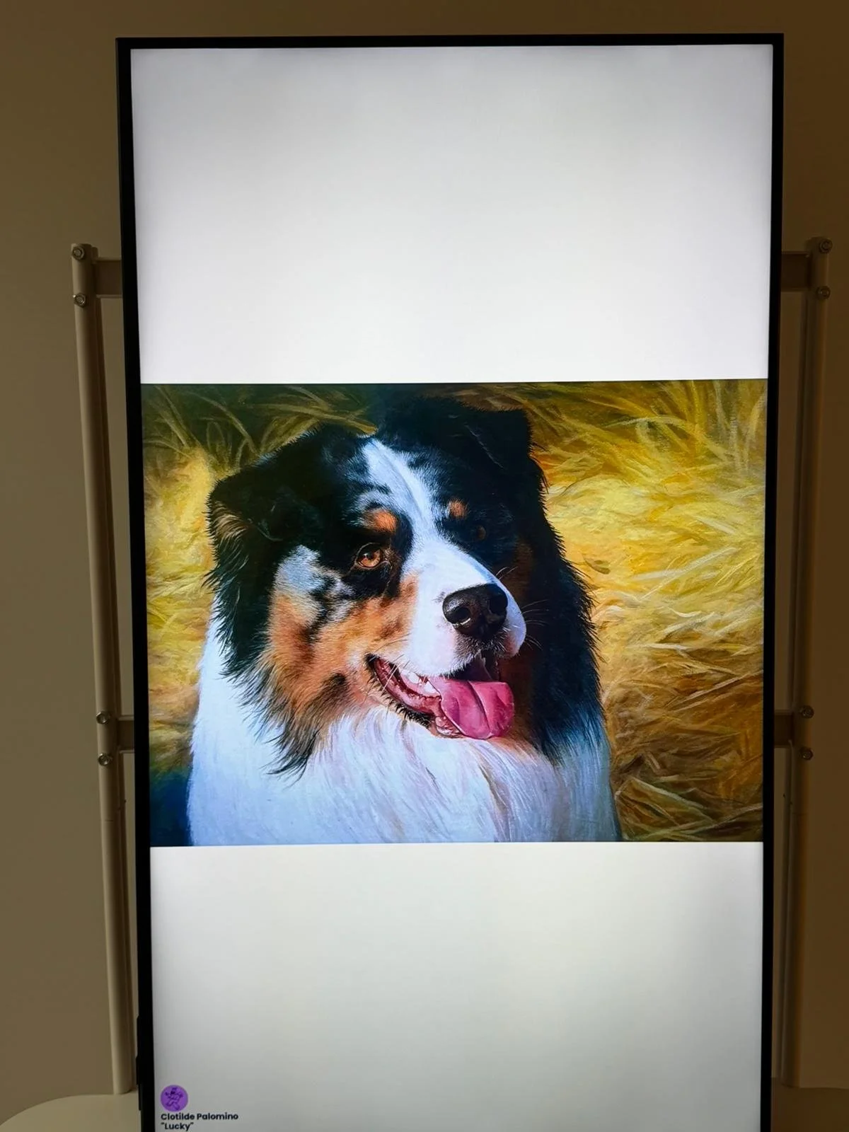 WhatsApp Image 2026-02-16 at 1.05.55 PM.jpeg