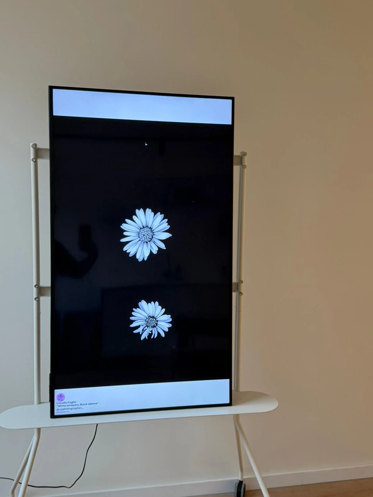 WhatsApp Image 2026-02-16 at 1.05.58 PM (1).jpeg