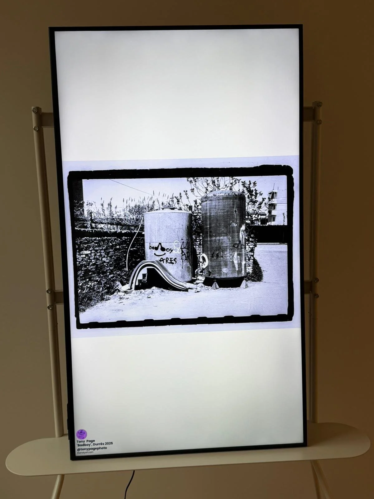 WhatsApp Image 2026-02-16 at 1.06.00 PM (1).jpeg