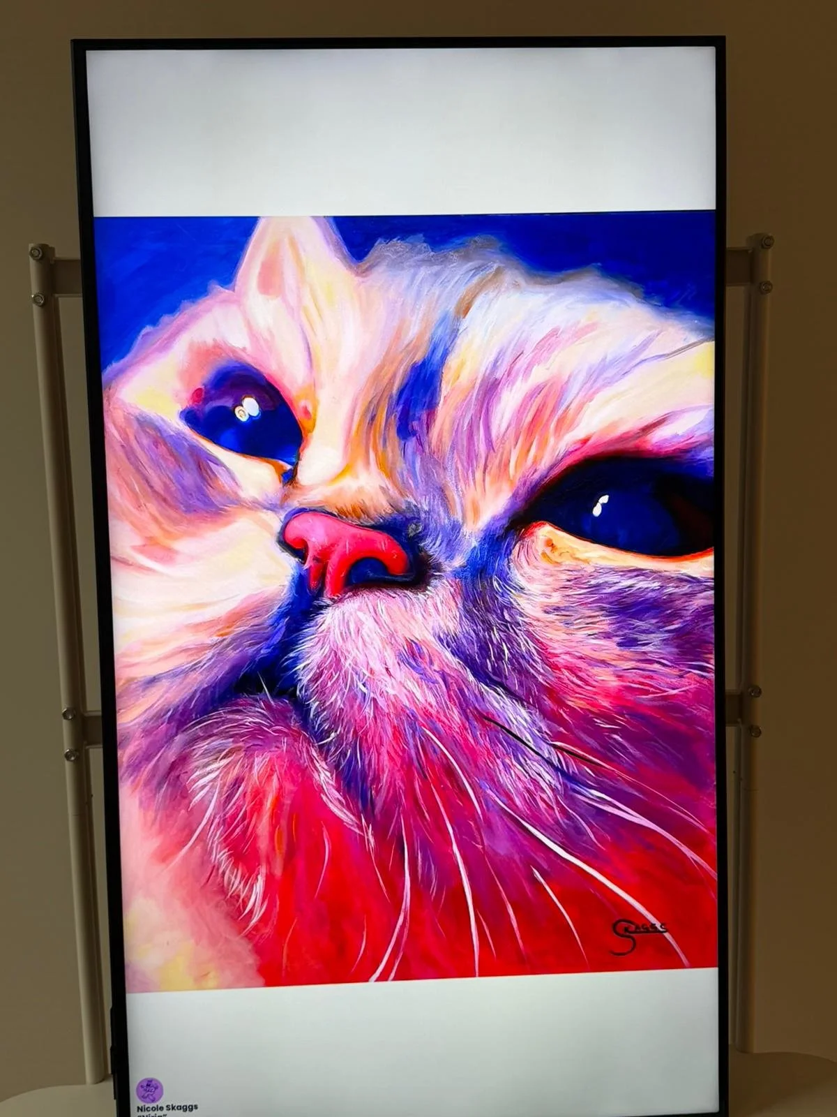 WhatsApp Image 2026-02-16 at 1.06.00 PM.jpeg