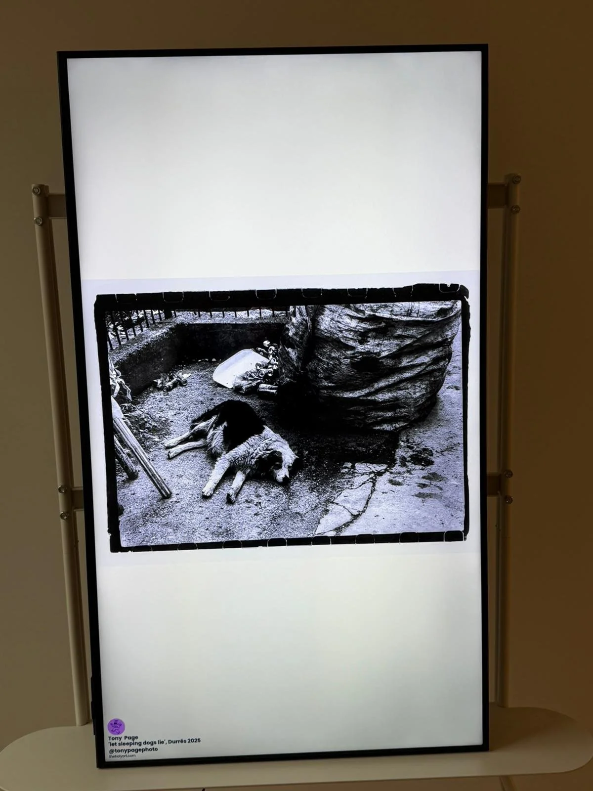 WhatsApp Image 2026-02-16 at 1.06.02 PM (1).jpeg