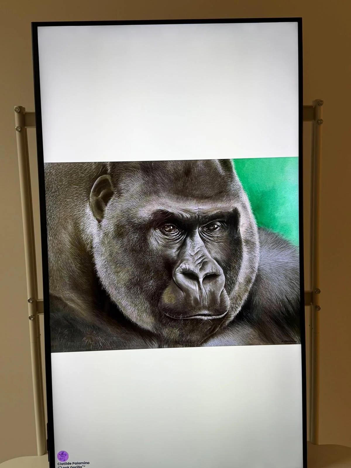 WhatsApp Image 2026-02-16 at 1.05.54 PM (4).jpeg