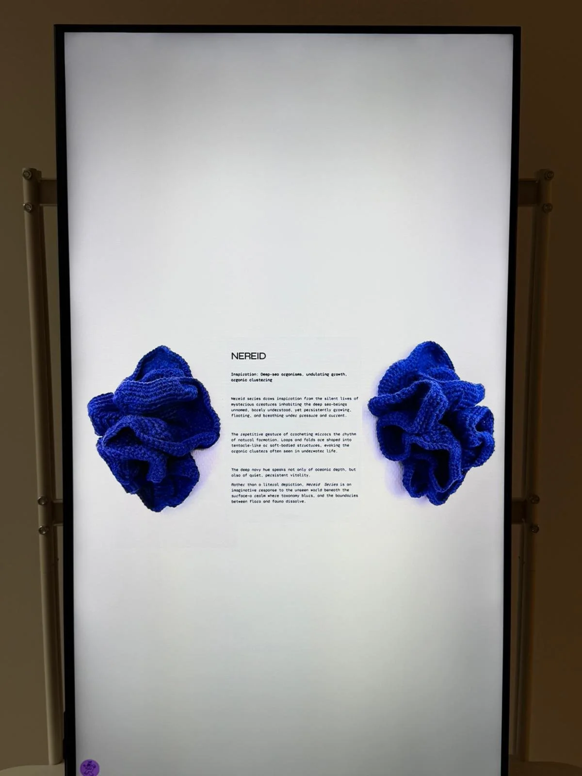 WhatsApp Image 2026-02-16 at 1.05.54 PM.jpeg