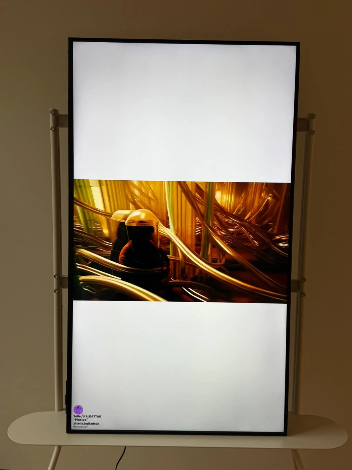 WhatsApp Image 2026-02-16 at 1.05.59 PM (1).jpeg