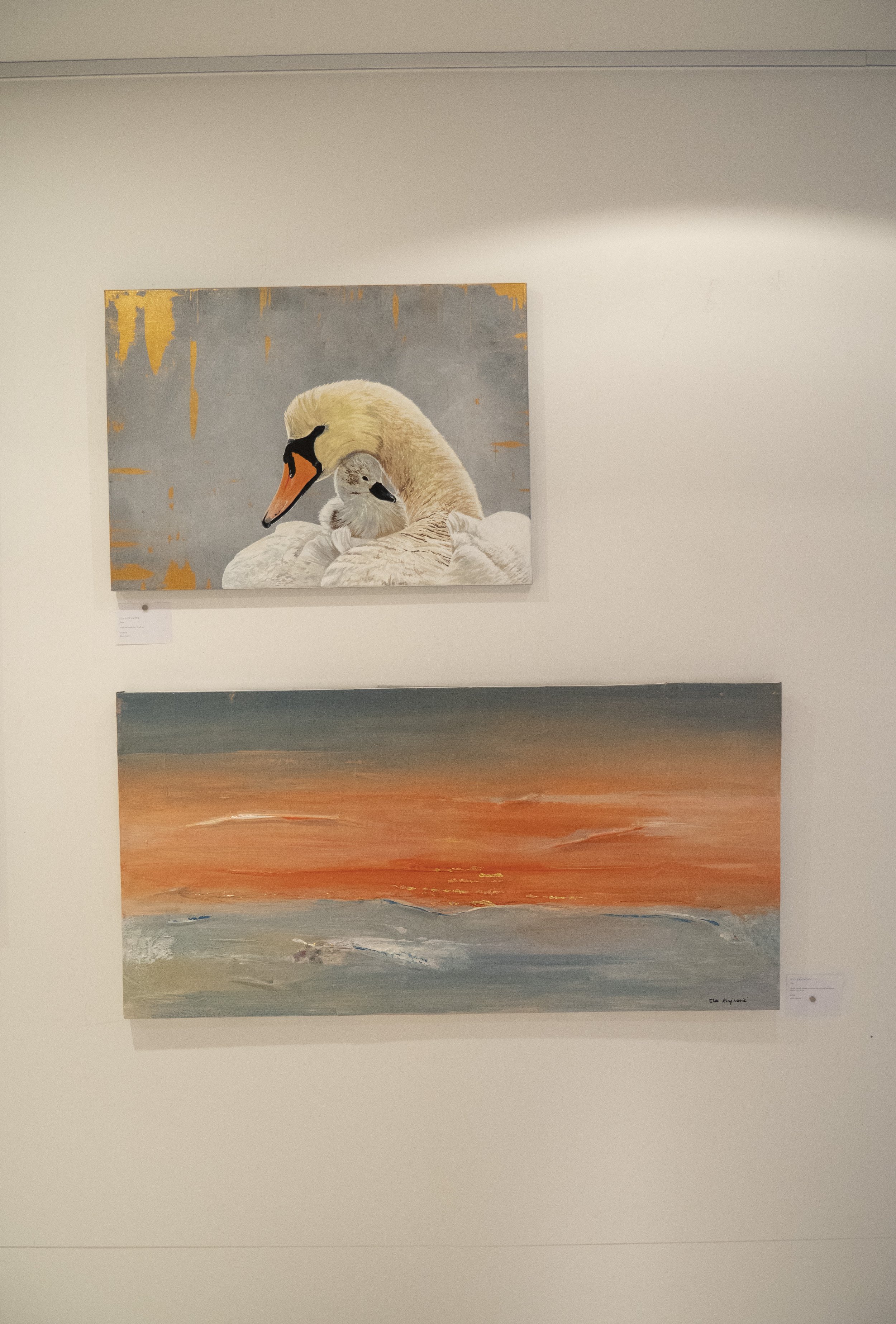 P1099243.JPG