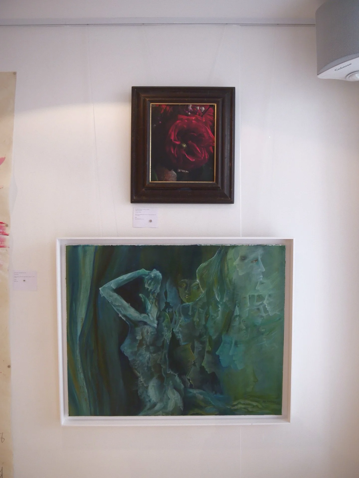 P1099253.jpg