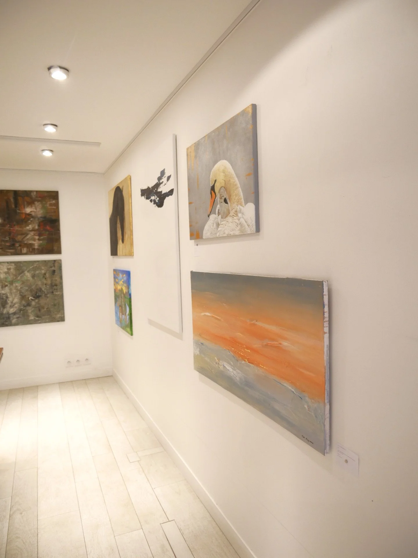 P1099263.jpg