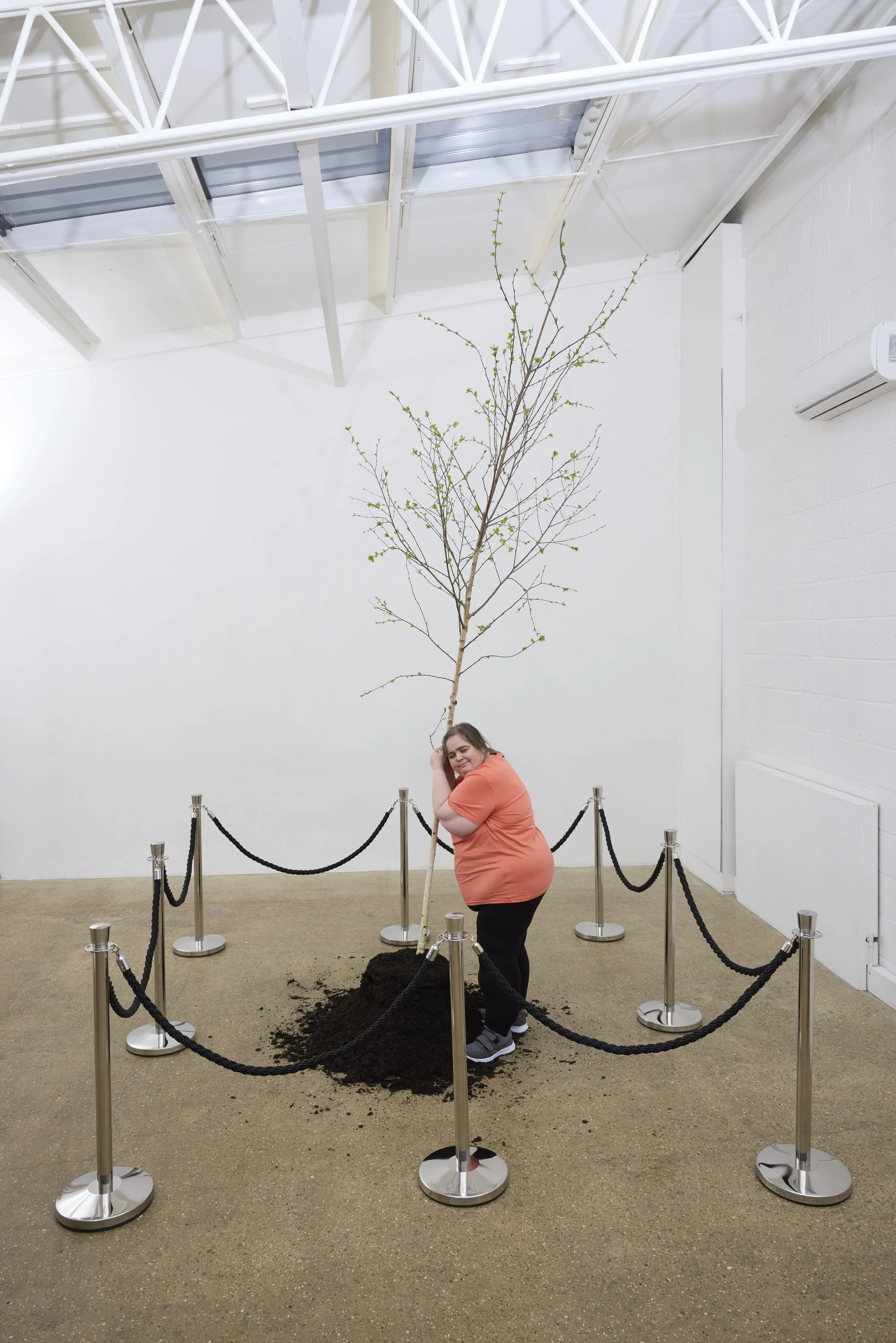 OLIVIA HERRING_STILL LIFE TREE HUGGER_4MB.jpg