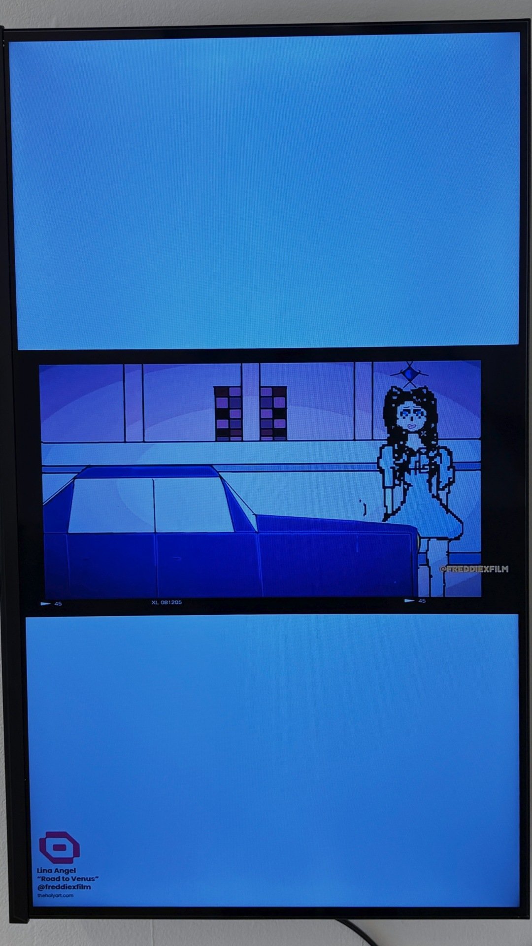 IMG_6795 1080x1920.jpg