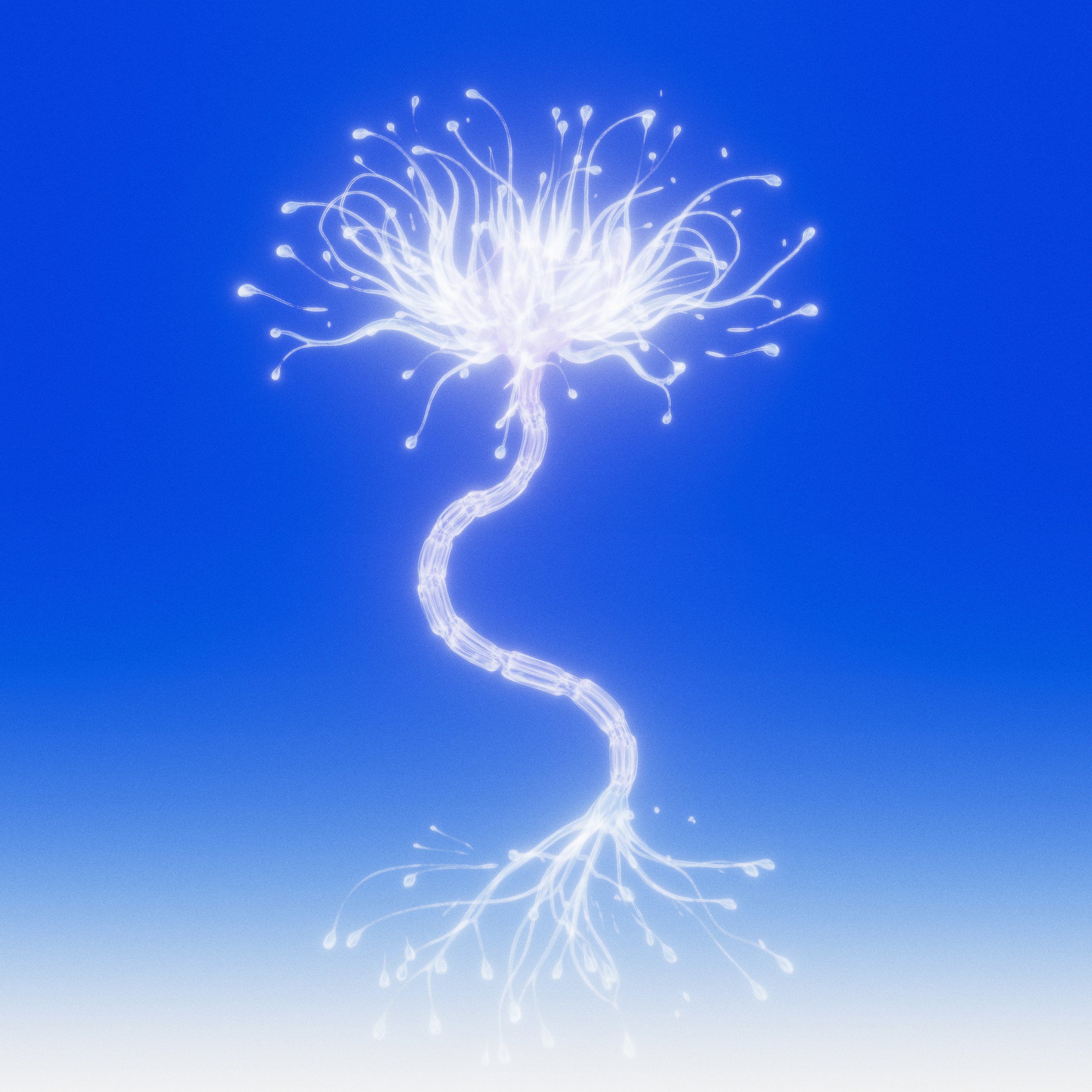 Within_Neurons _Digital_15'x15'_2026.jpg