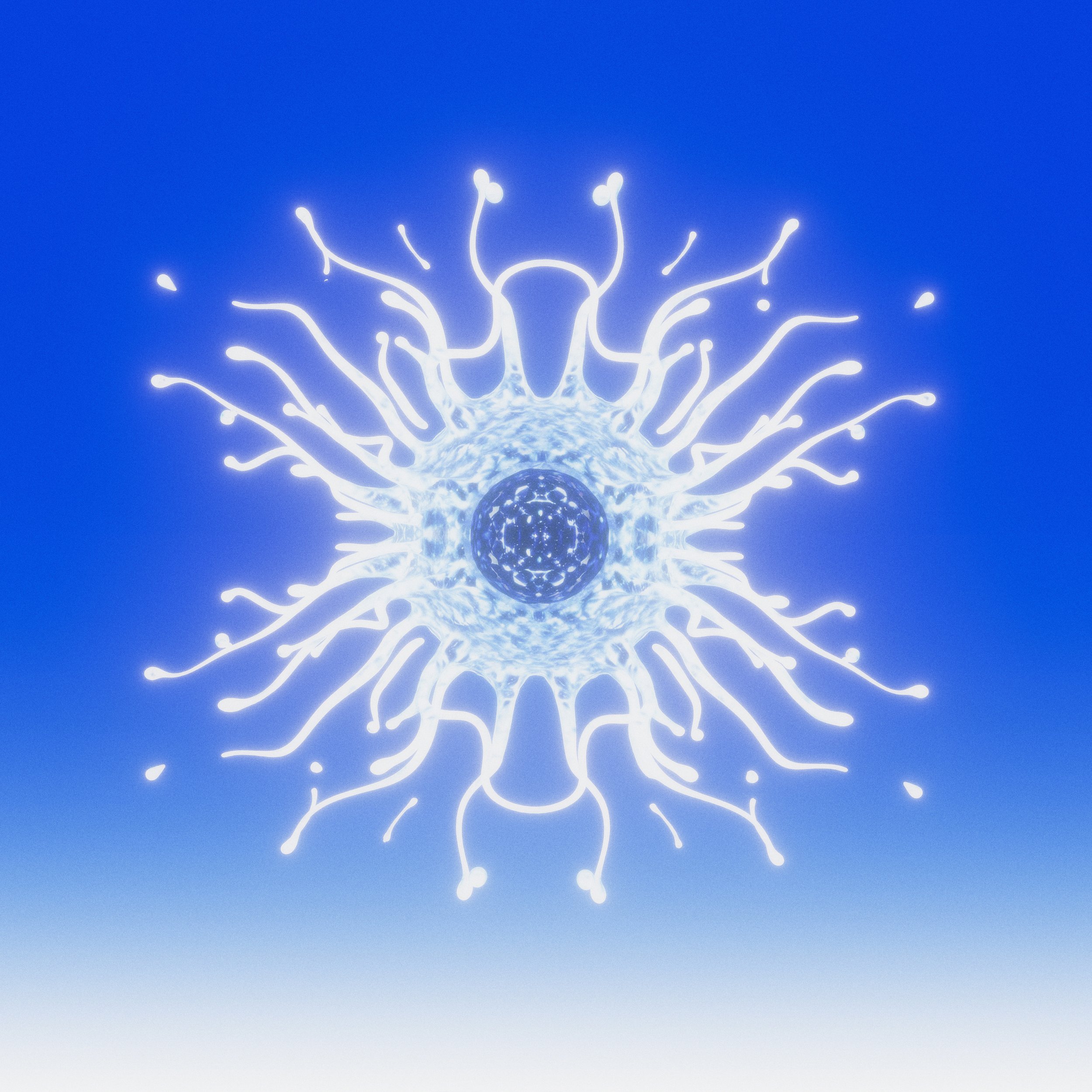 Within_Immune cell_Digital_15'x15'_2026 (1).jpg
