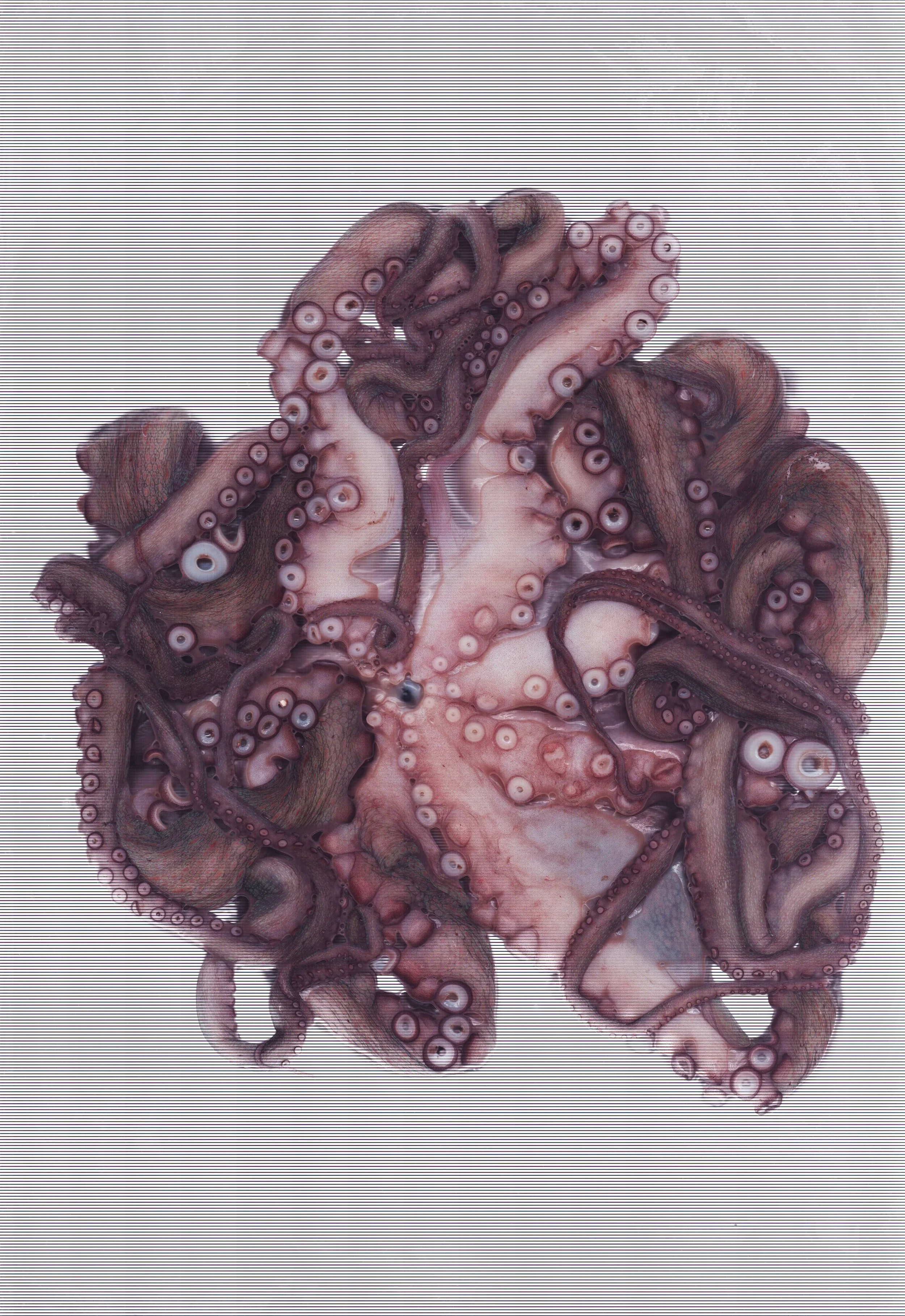 Octogram#3\100x70 cm\mixed \ 2025