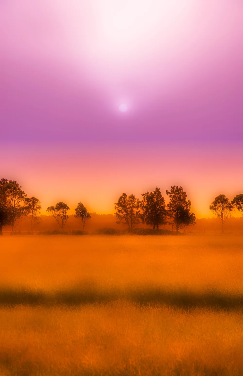 Red Dust