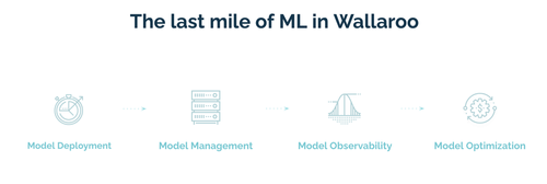 last mile of ML in wallaroo - model deployment > model management > model observability > model optimization