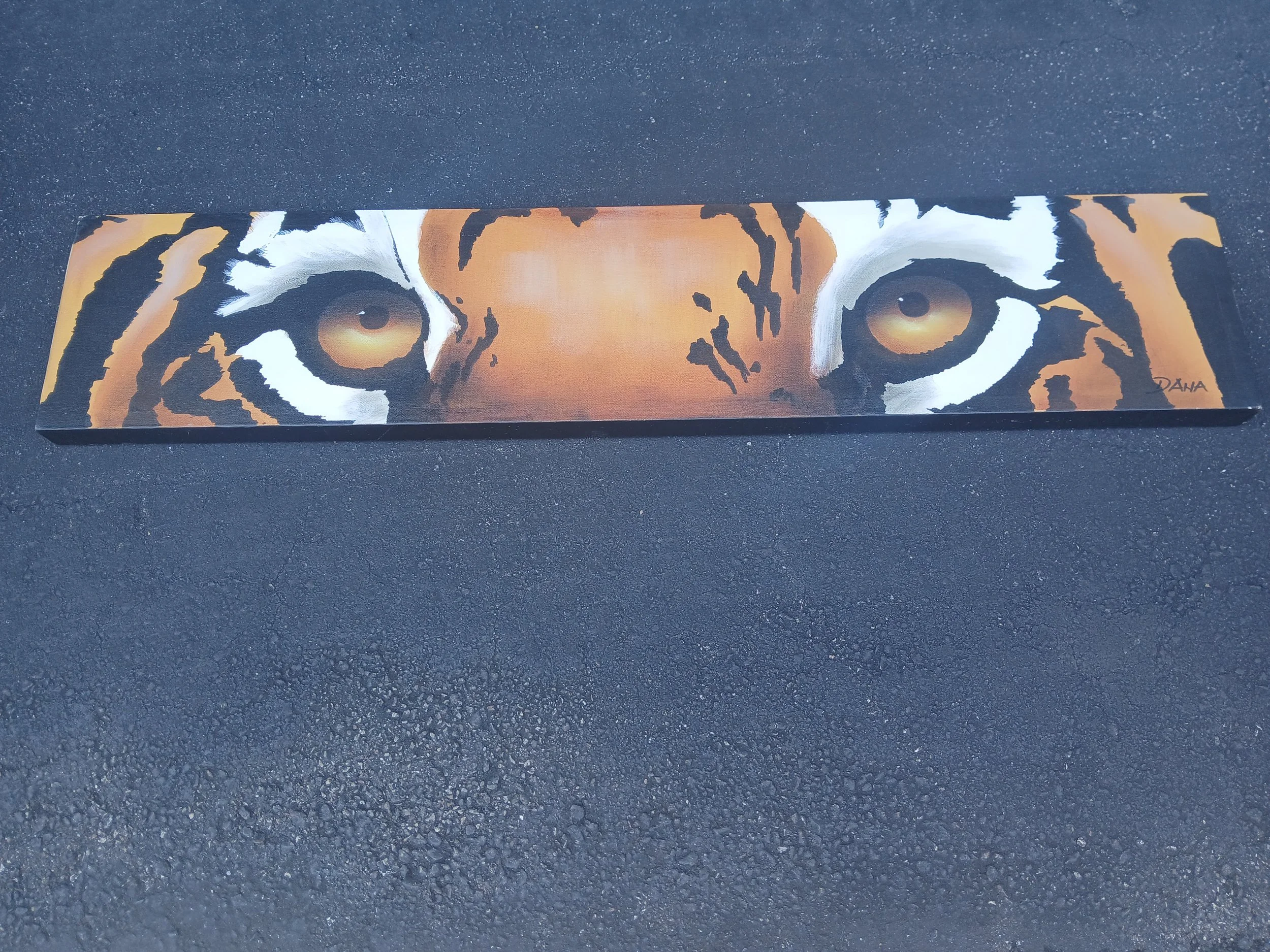 SAFARI TIGER EYES , LARGE 48"