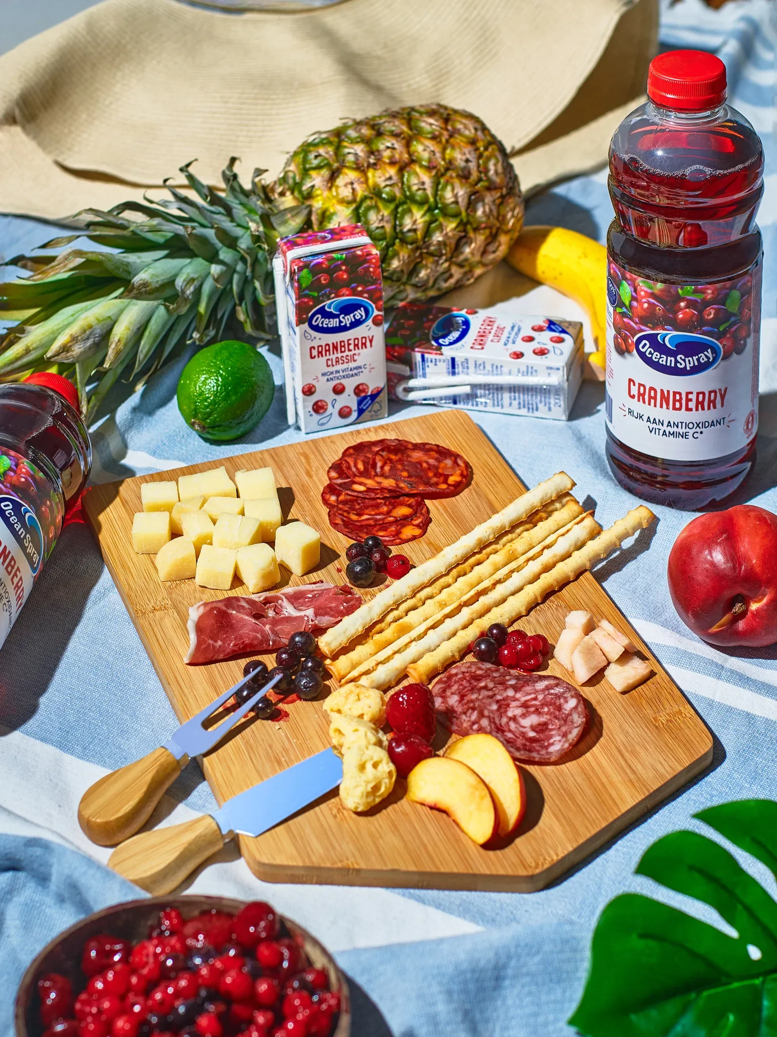 Lifestyle food photography by Vasilis Geravelis με concept καλοκαιρινού πικνίκ για τα προϊόντα Ocean Spray Cranberry. Δημιουργικό food styling με πλατό αλλαντικών, τυριών και φρούτων.