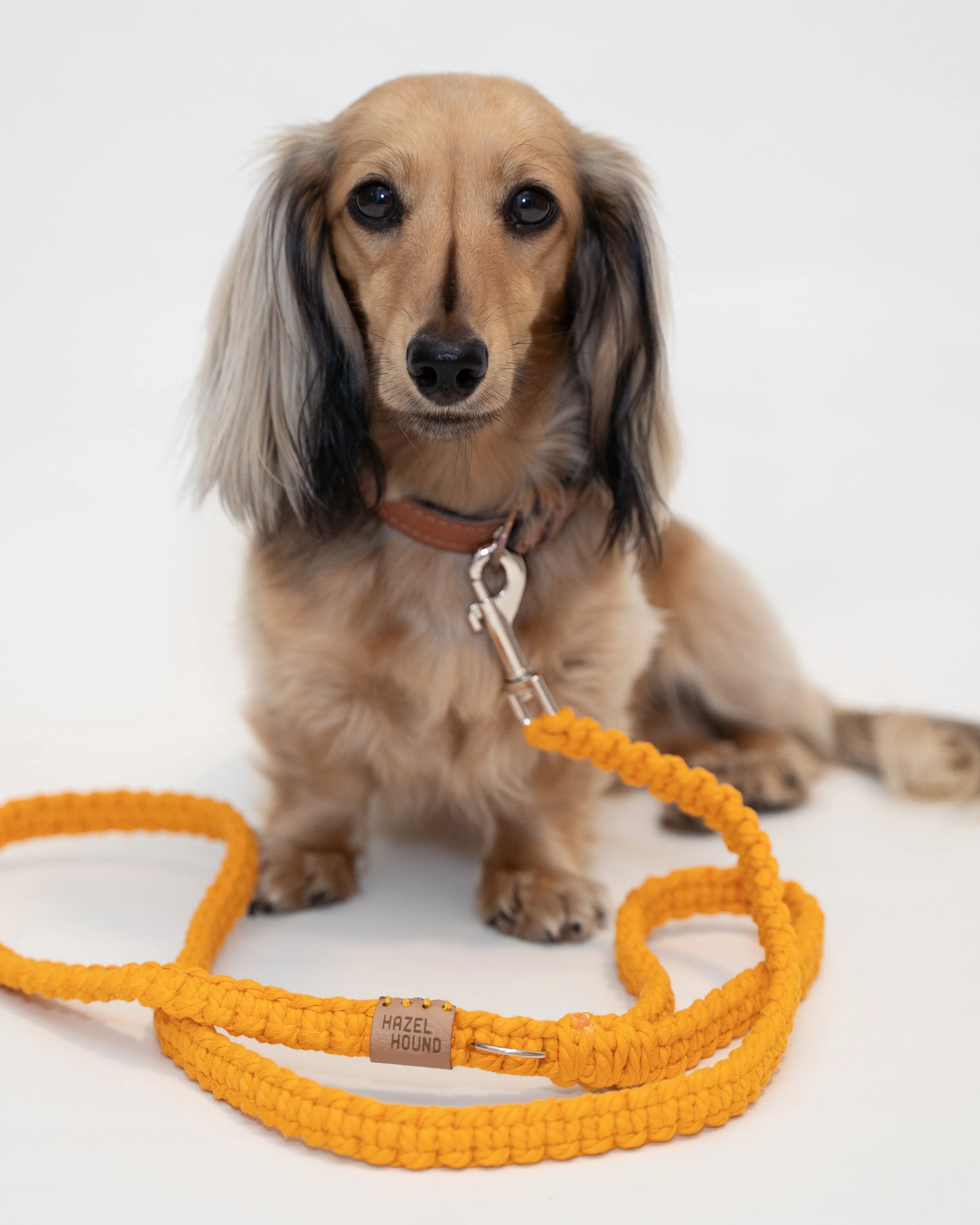 macrame leash