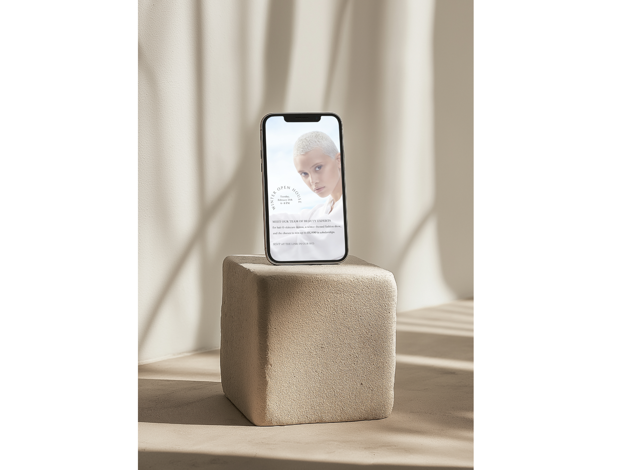 iPhone Mockup2 Small.png