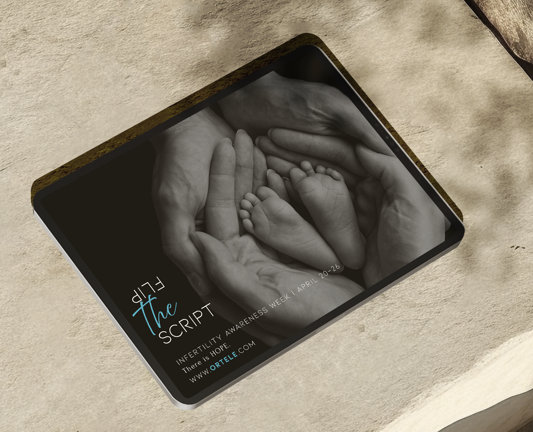 Flip the Script Mockup CROPPED.png